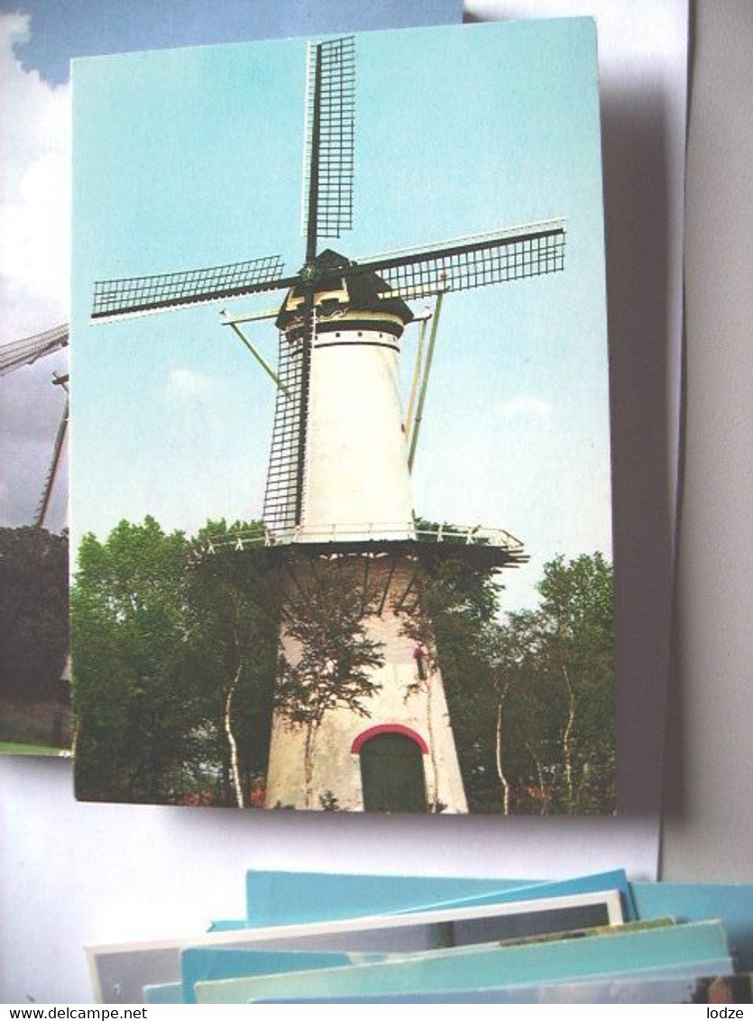 Nederland Holland Pays Bas Tholen Met Witte Molen De Hoop En Omgeving - Tholen