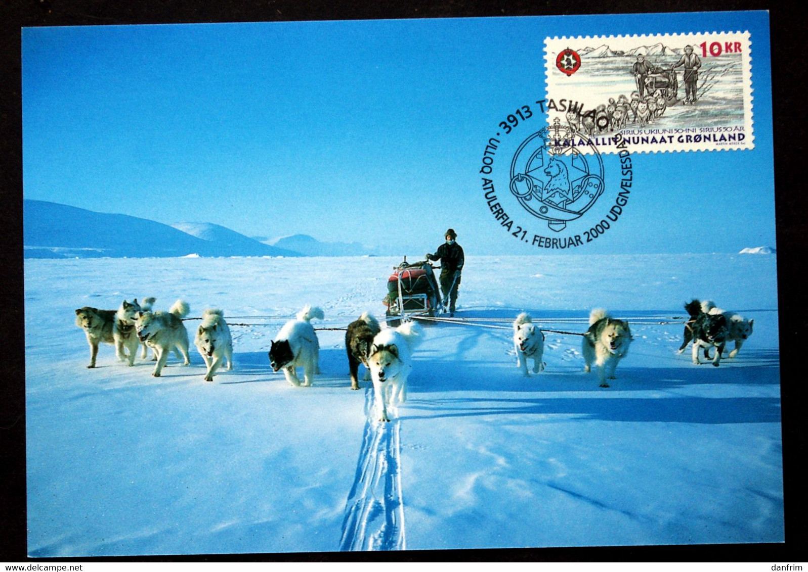 GREENLAND 2000    Minr.346 Maxi CARDS ( Lot 321 ) - Maximumkarten (MC)