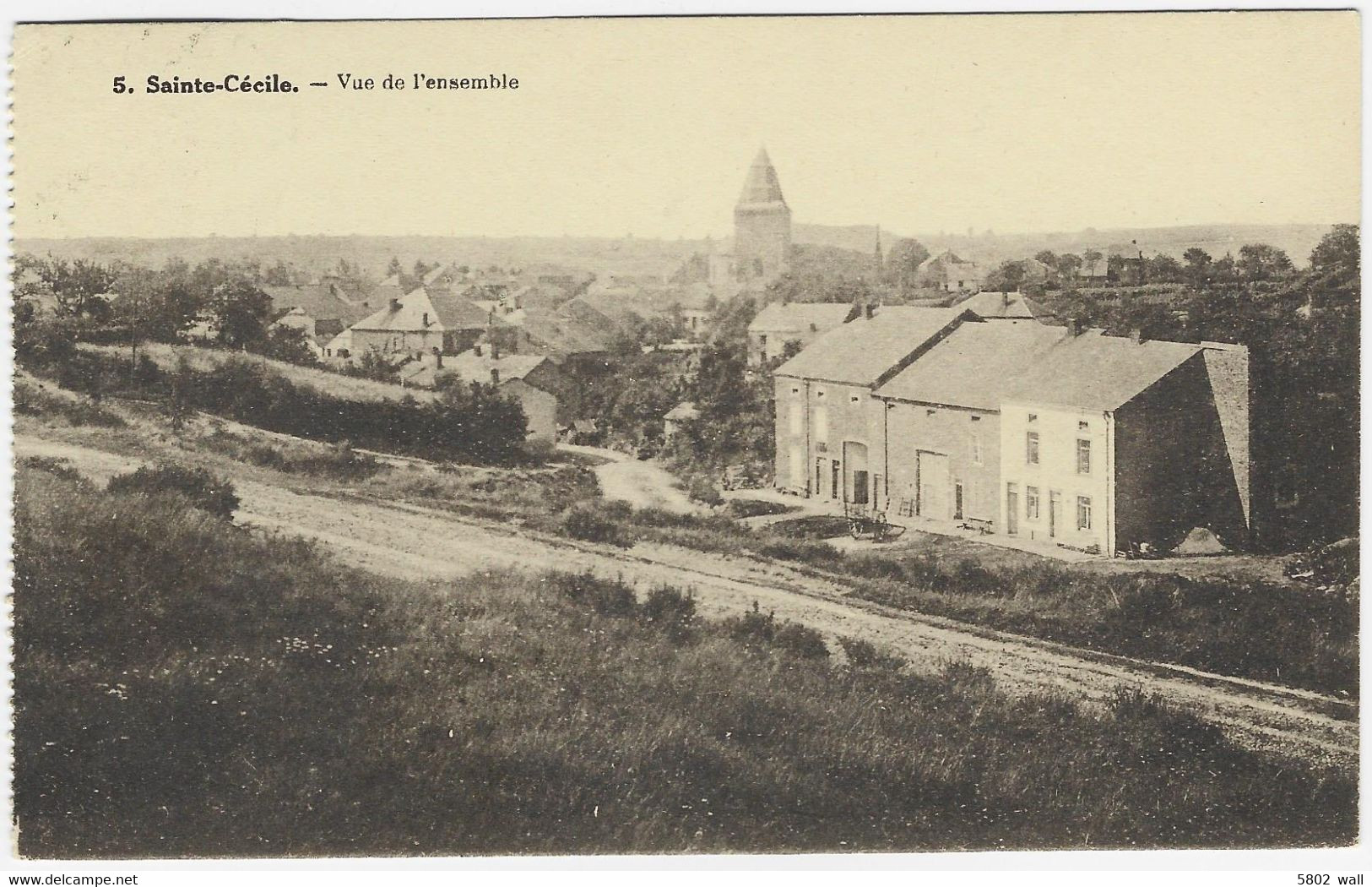 FLORENVILLE : Sainte-Cécile, Vue De L'ensemble - Florenville