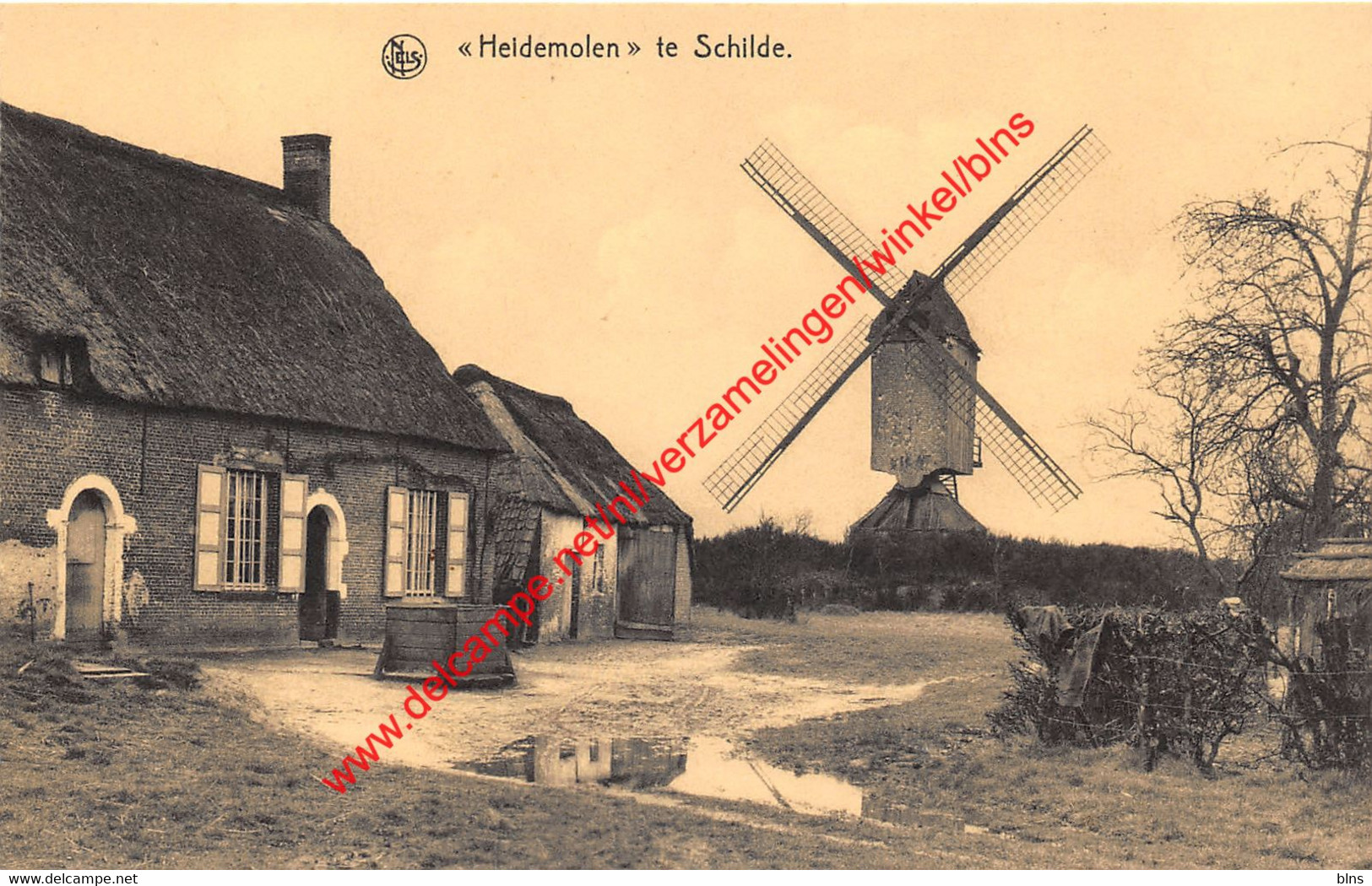 Heidemolen - Schilde - Schilde