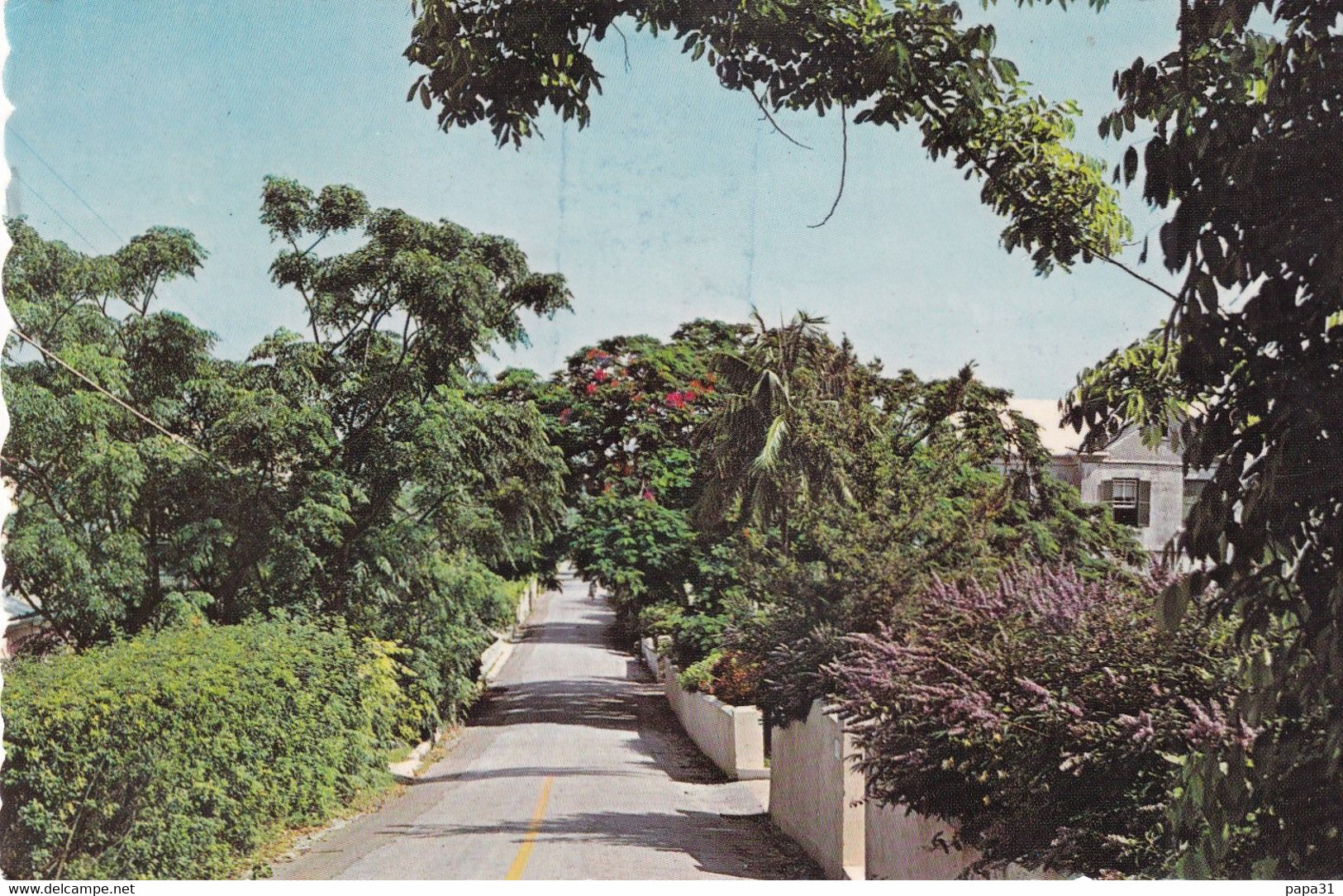 BERMUDEA  Country Lane Avec Timbre - Bermuda