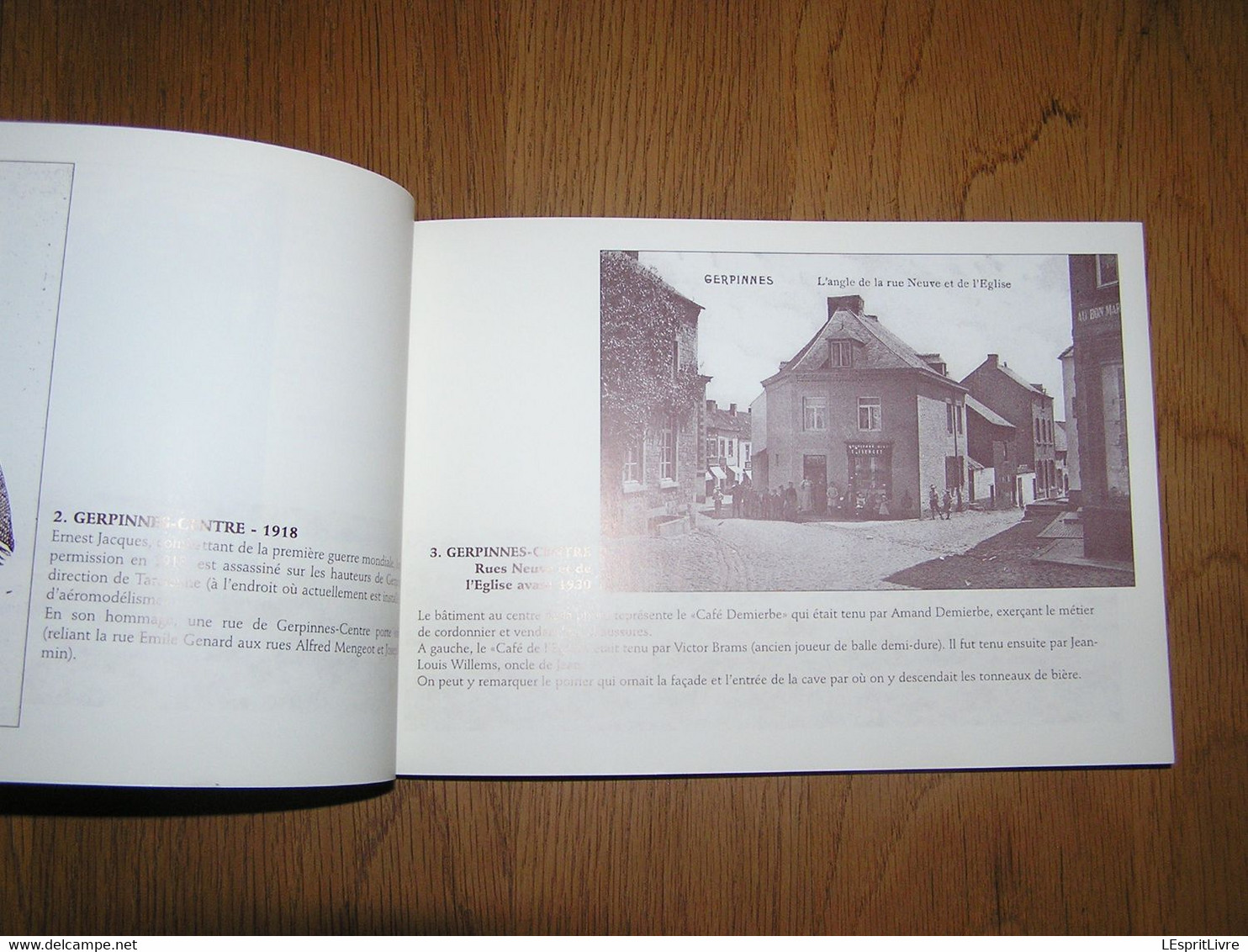 GERPINNES La Mémoire Vivante D'Alfred Mengeot En Images De 1860 à Nos Jours Régionalisme Fromiée Hymiée Les Flaches Gare - Belgique