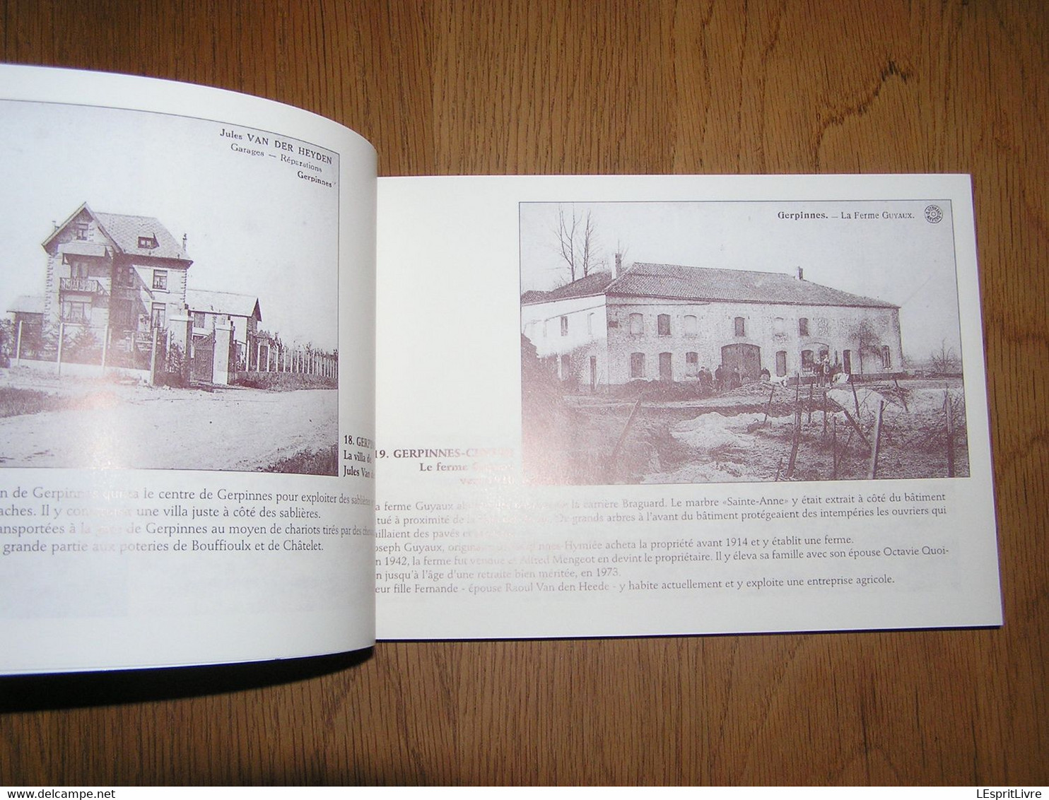 GERPINNES La Mémoire Vivante d'Alfred Mengeot en Images de 1860 à nos Jours Régionalisme Fromiée Hymiée Les Flaches Gare