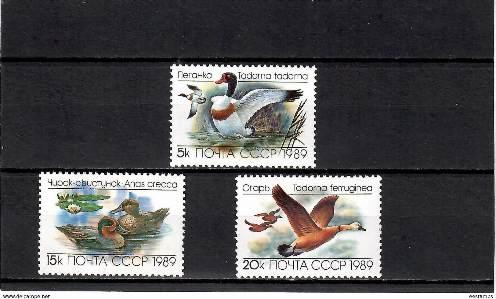 Russia & USSR 1989 . Ducks (Flora).3v.  Michel # 5965-67 - Unused Stamps