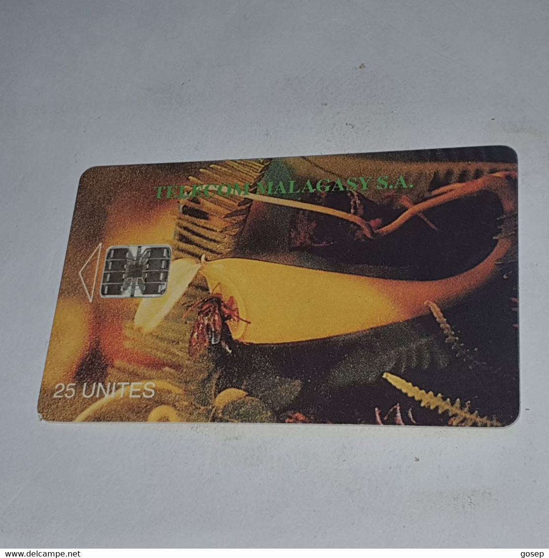 Madagascar-(MDG-06B)-carnivorous Plant-(15)-(25units)-(00692036)-used Card+1card Prepiad,free - Madagascar