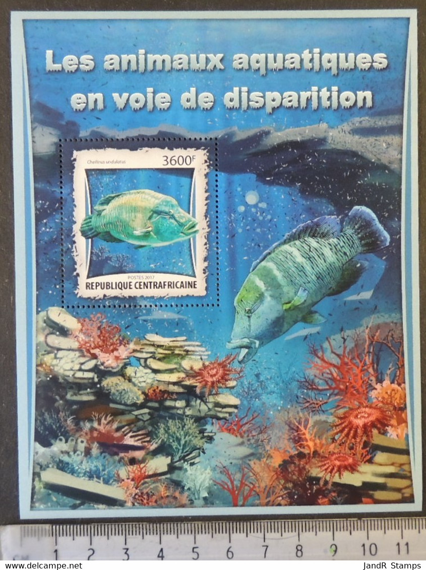 Central African Republic 2017 Endangered Species Marine Life Fish Coral S/sheet Mnh - República Centroafricana