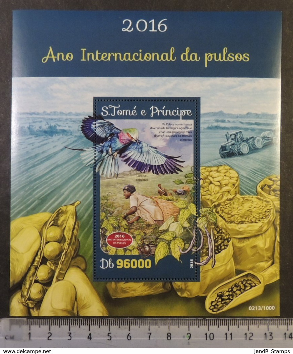 St Thomas 2016 International Year Of Pulses Food Plants Beans Birds S/sheet Mnh - Feuilles Complètes Et Multiples