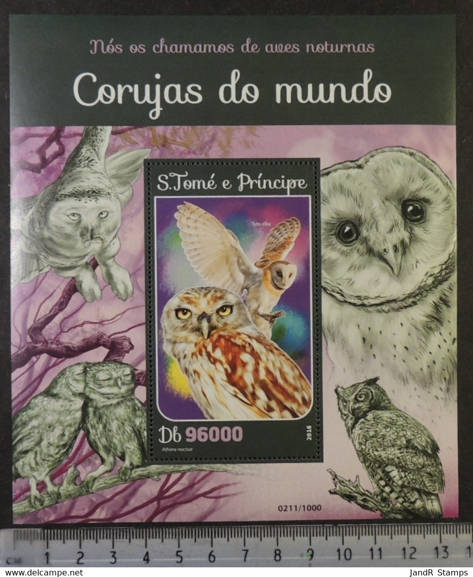St Thomas 2016 Owls Birds Of Prey S/sheet Mnh - Feuilles Complètes Et Multiples