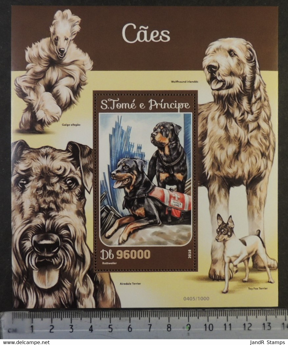 St Thomas 2016 Dogs Animals Airedale Wolfhound Rottweiller S/sheet Mnh - Ganze Bögen