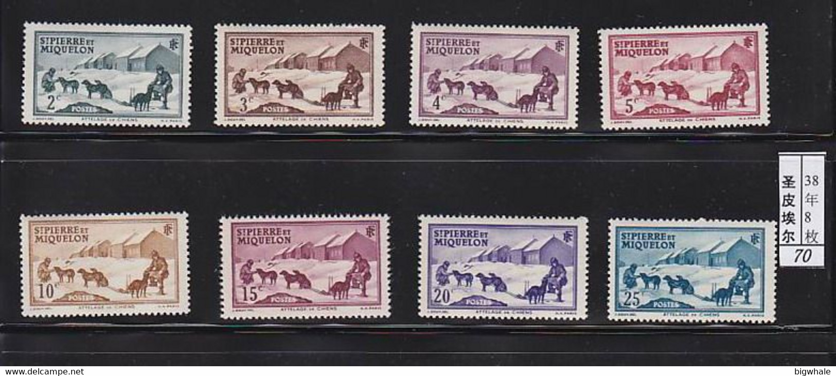 St,Pierre Miquelon 1938 Dog Chien MNH 8V - Andere & Zonder Classificatie