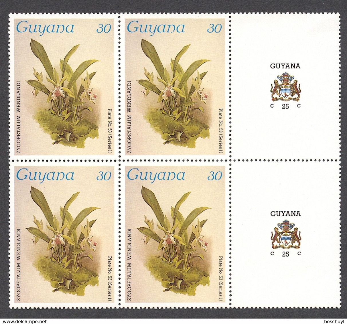 Guyana, 1985, Orchids, MNH Tab Block, Michel 1490 - Guyana (1966-...)