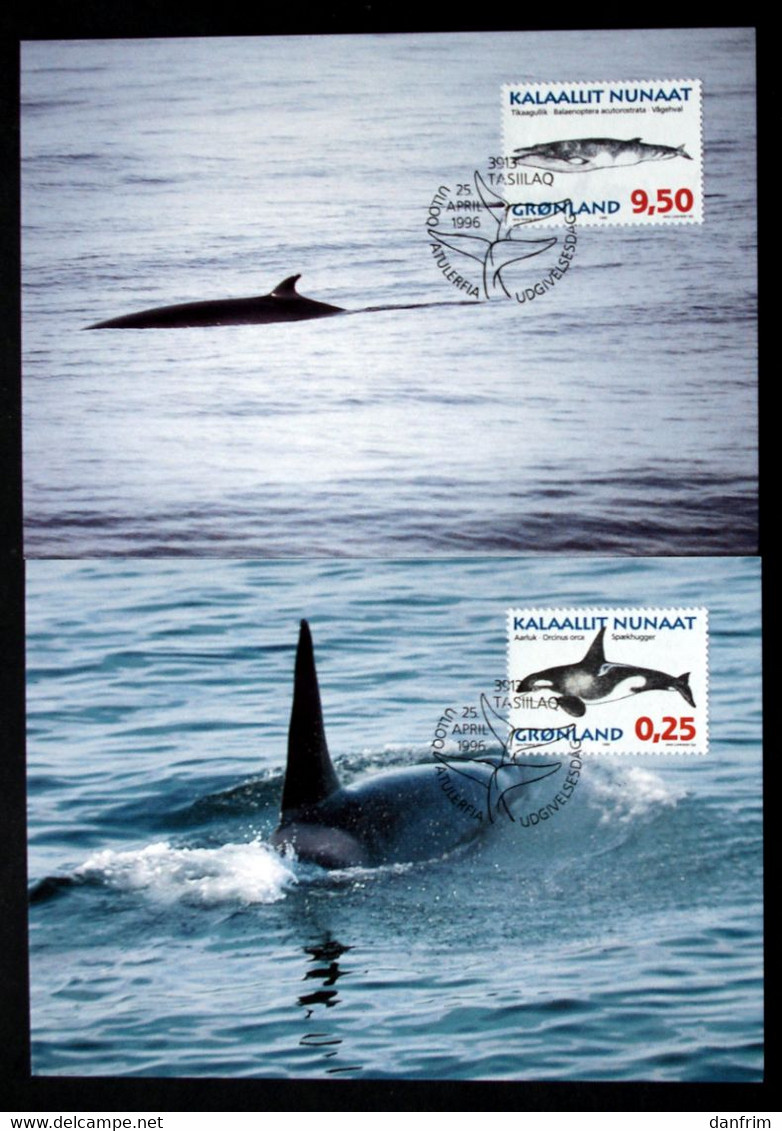 Greenland    1996  Whales Minr. 287-92 Maximum Cards  ( Lot 426 ) - Maximumkaarten