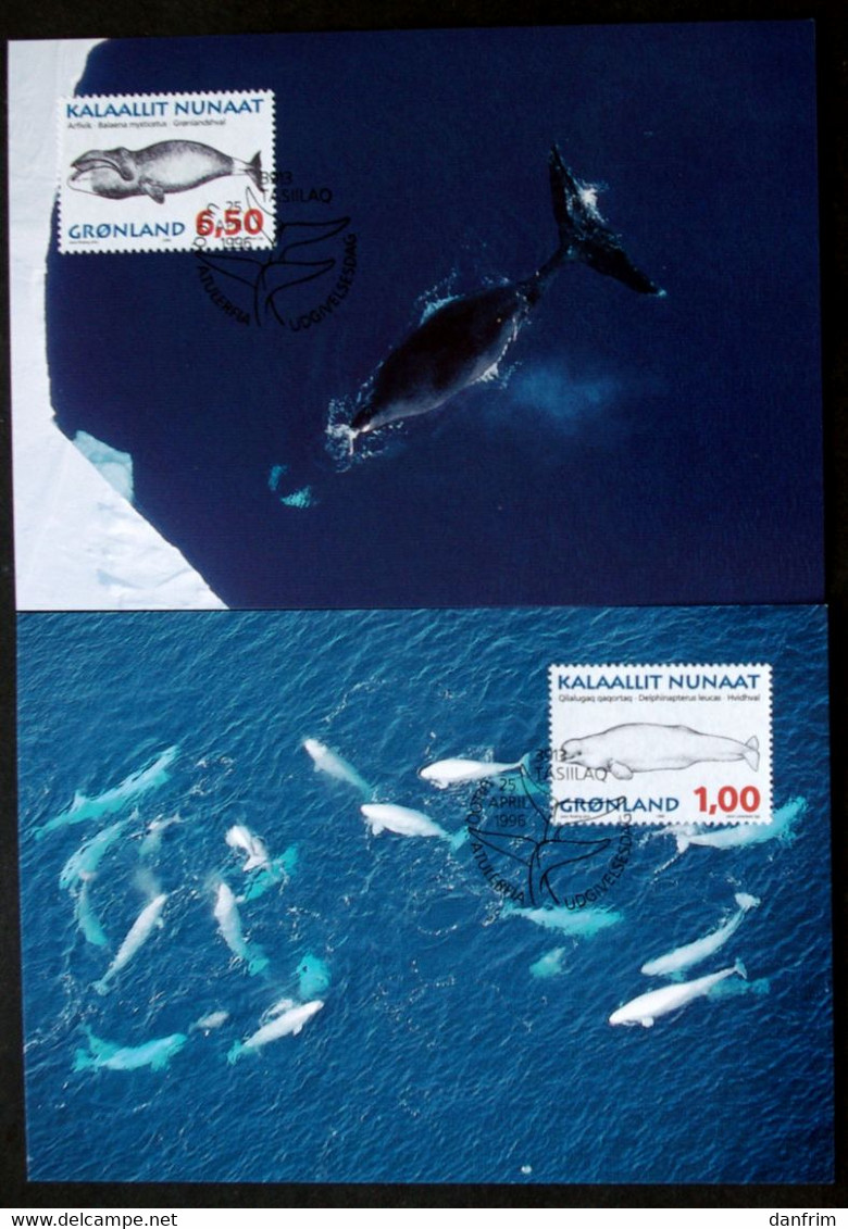 Greenland    1996  Whales Minr. 287-92 Maximum Cards  ( Lot 426 ) - Maximumkaarten