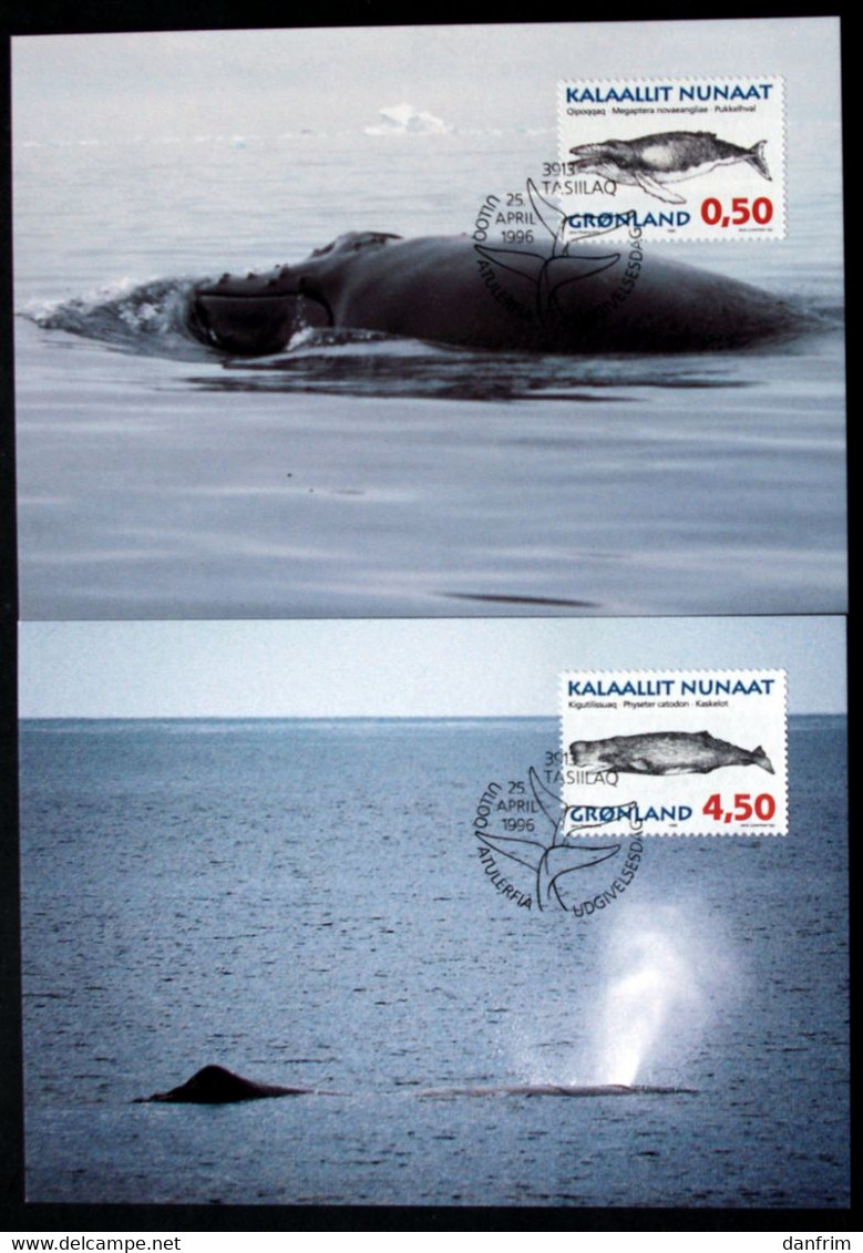 Greenland    1996  Whales Minr. 287-92 Maximum Cards  ( Lot 426 ) - Maximumkaarten