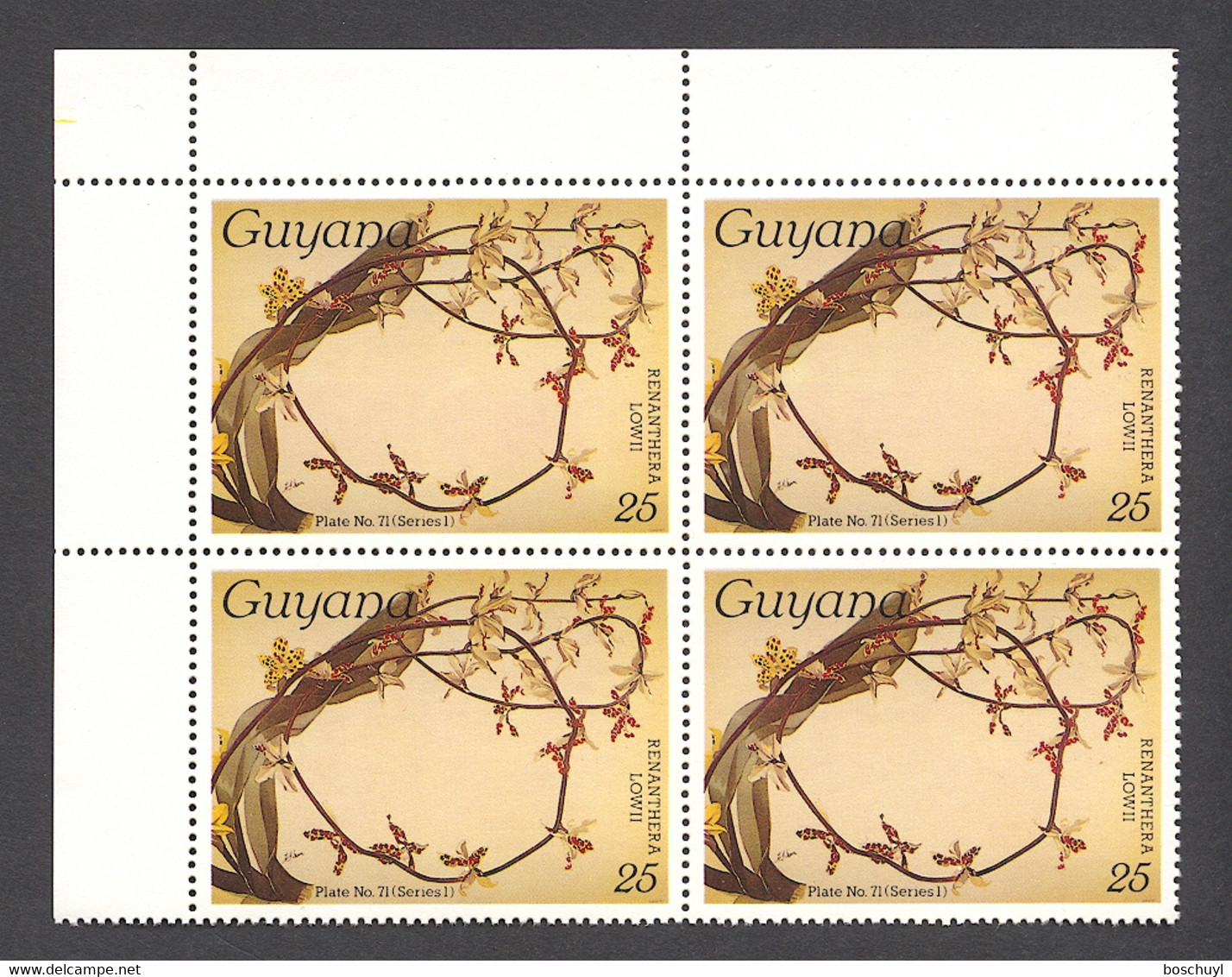 Guyana, 1986, Orchids, MNH Block, Michel 1548 - Guiana (1966-...)