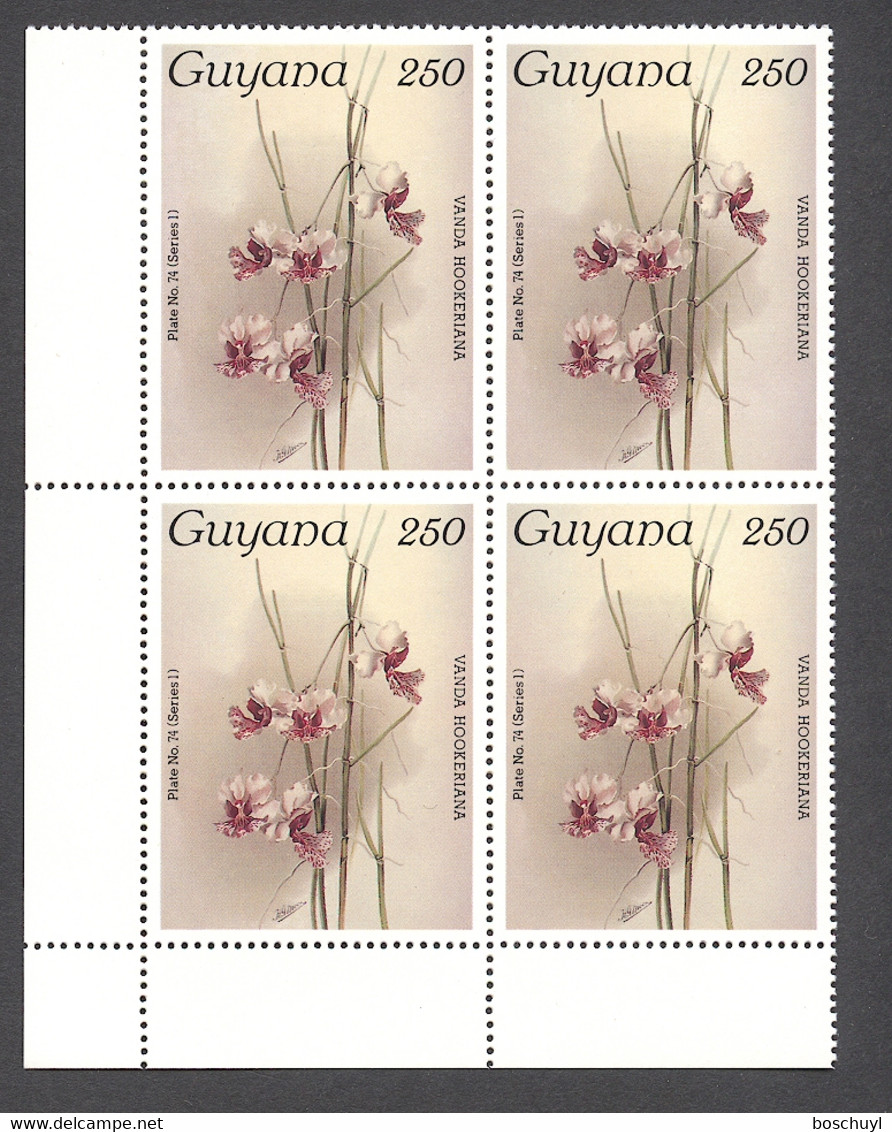 Guyana, 1986, Orchids, MNH Block, Michel 1608 - Guiana (1966-...)