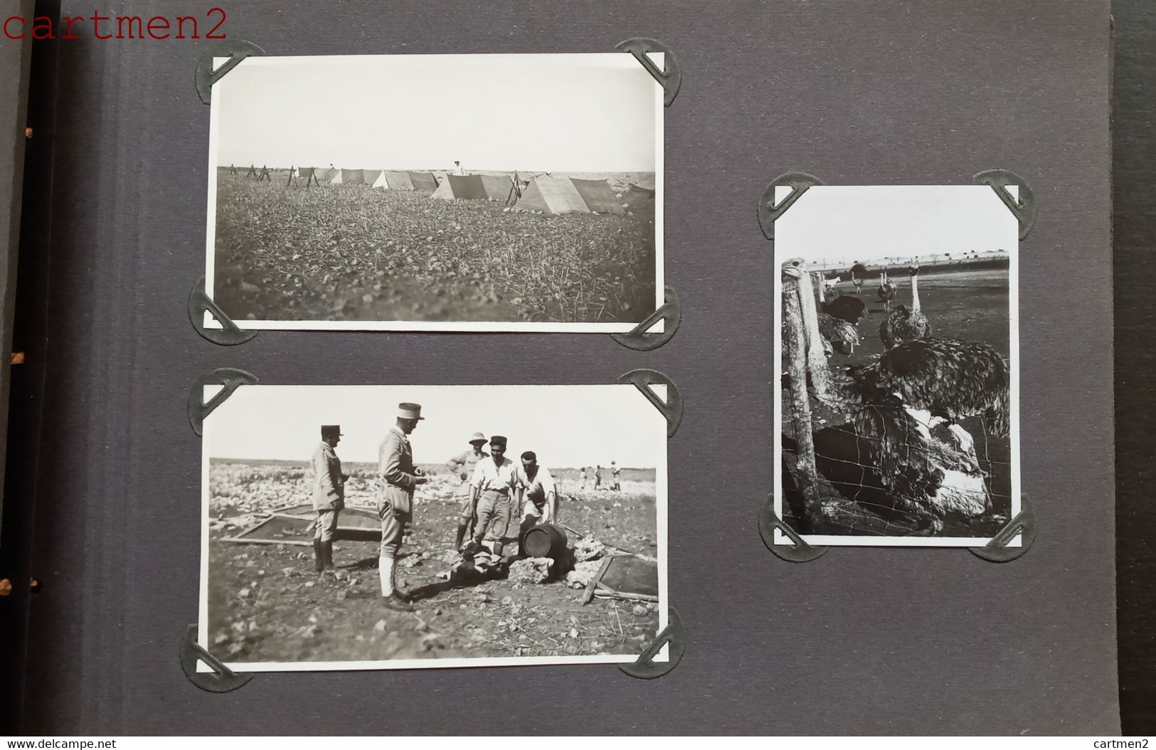 ALBUM GUERRE MAROC CHAR DE COMBAT TANK MAZAGAN CASQUES BLANCS ZOUAVES VOLUBILIS MEKNES CASABLANCA MAZAGAN