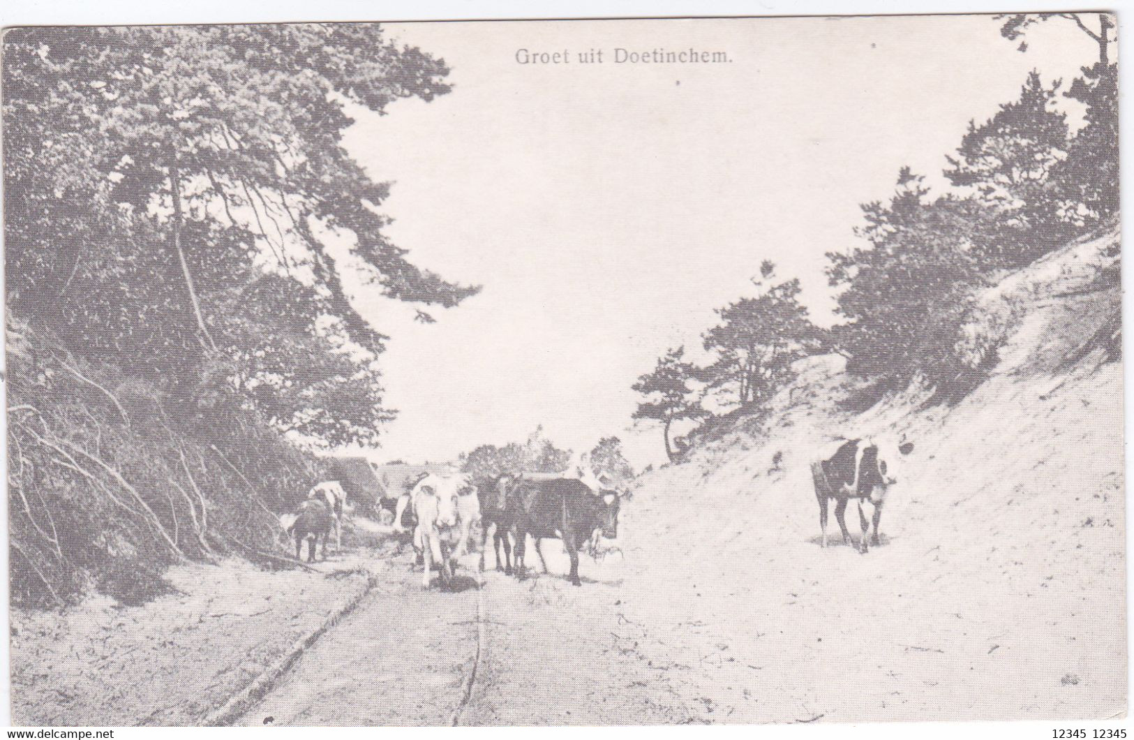 Doetinchem, Groet Uit (reprint) - Doetinchem