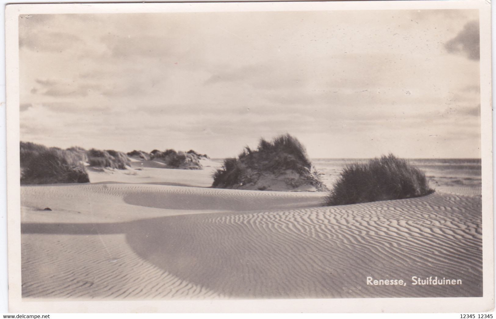 Renesse, Stuifduinen - Renesse