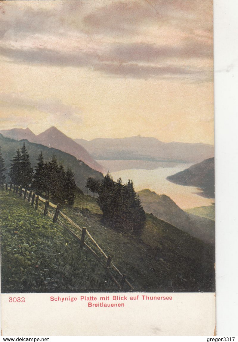 1629) SCHYNIGE Platte Mit Blick Auf THUNERSEE - BREITLAUENEN - LITHO Alt !! - Lauenen