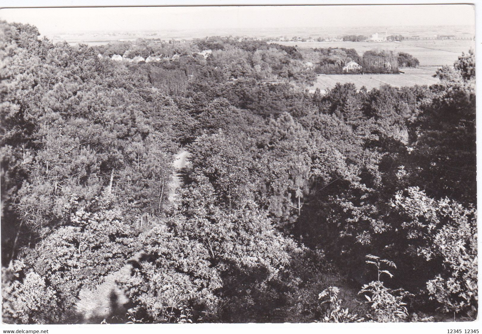 Schoorl, Klimweg, De Weg Naar De Jeugdherberg - Schoorl