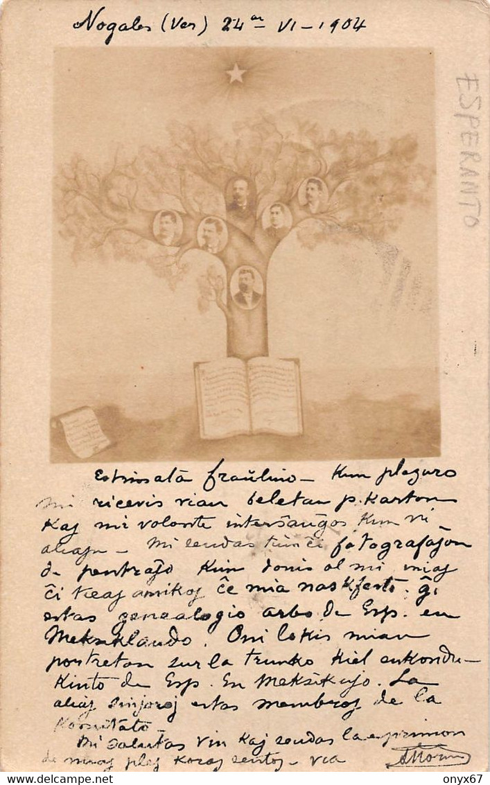 Carte  Photo Heroica NOGALES-Mexique-Etat Sonora-Amérique-Arbre Généalogie ? Cachet-Tampon-Stamp-Timbre-Briefmarken - Mexique