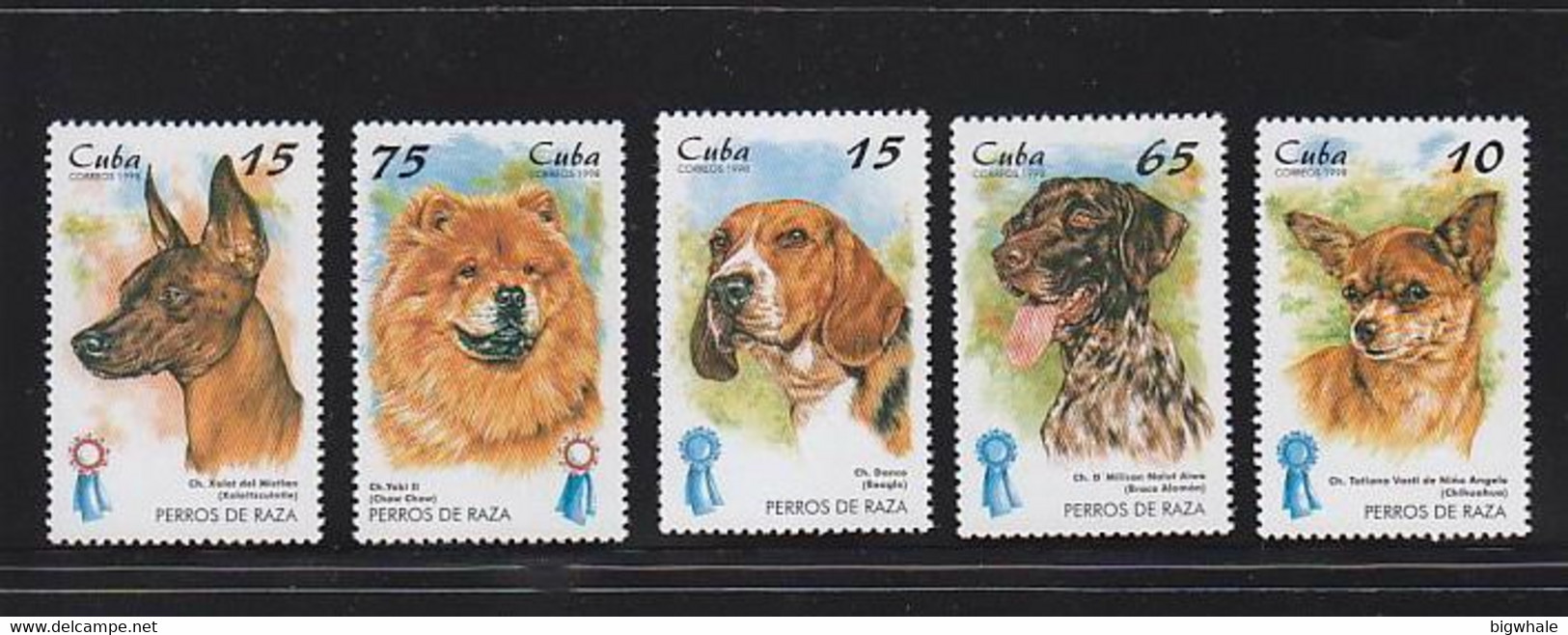 Cuba 1998 Dog Chien MNH 5V ** - Other & Unclassified