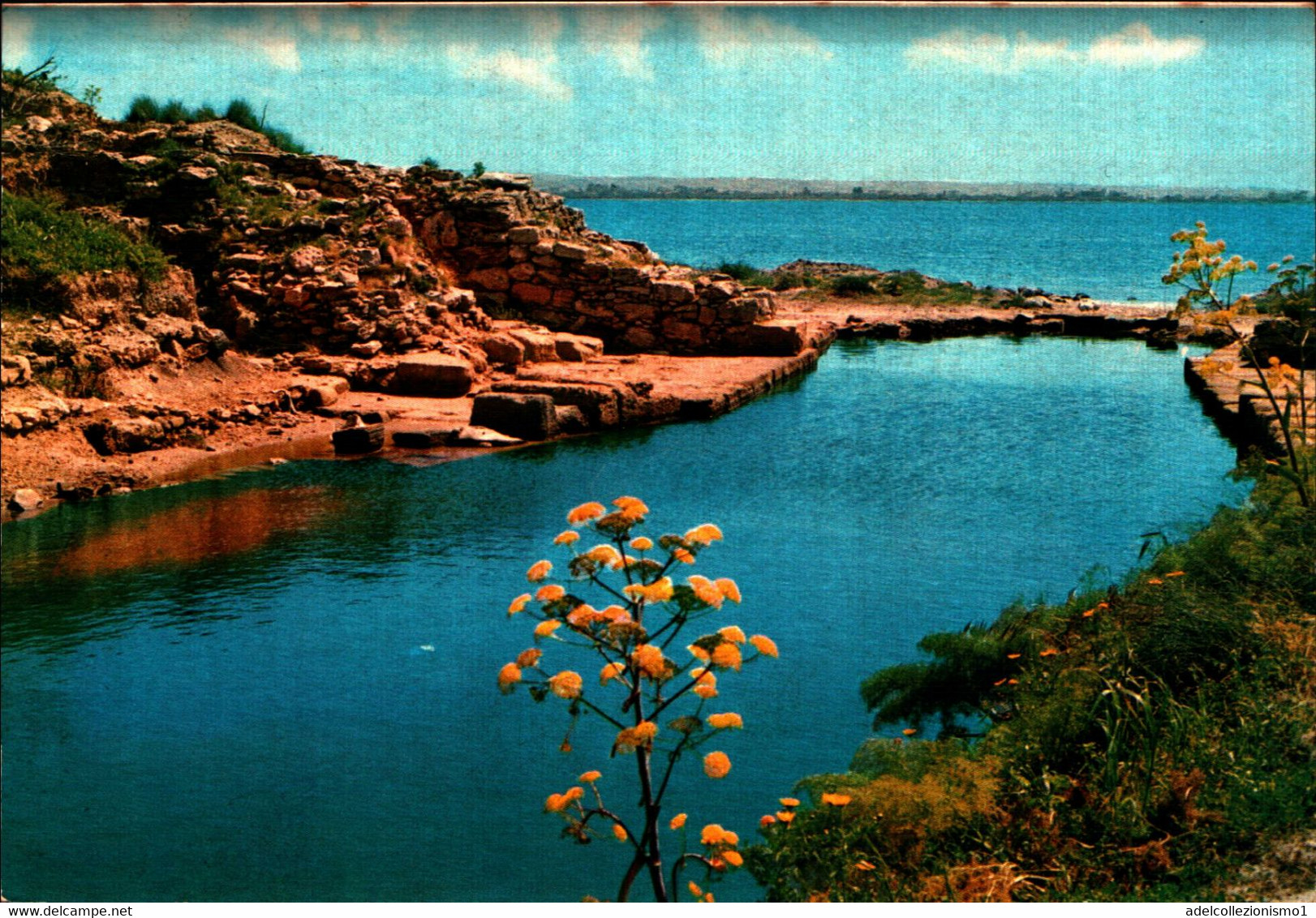 38578) CARTOLINA DI MARSALA-ISOLA DI MOZIA-PORTO FENICIO-NUOVA - Marsala