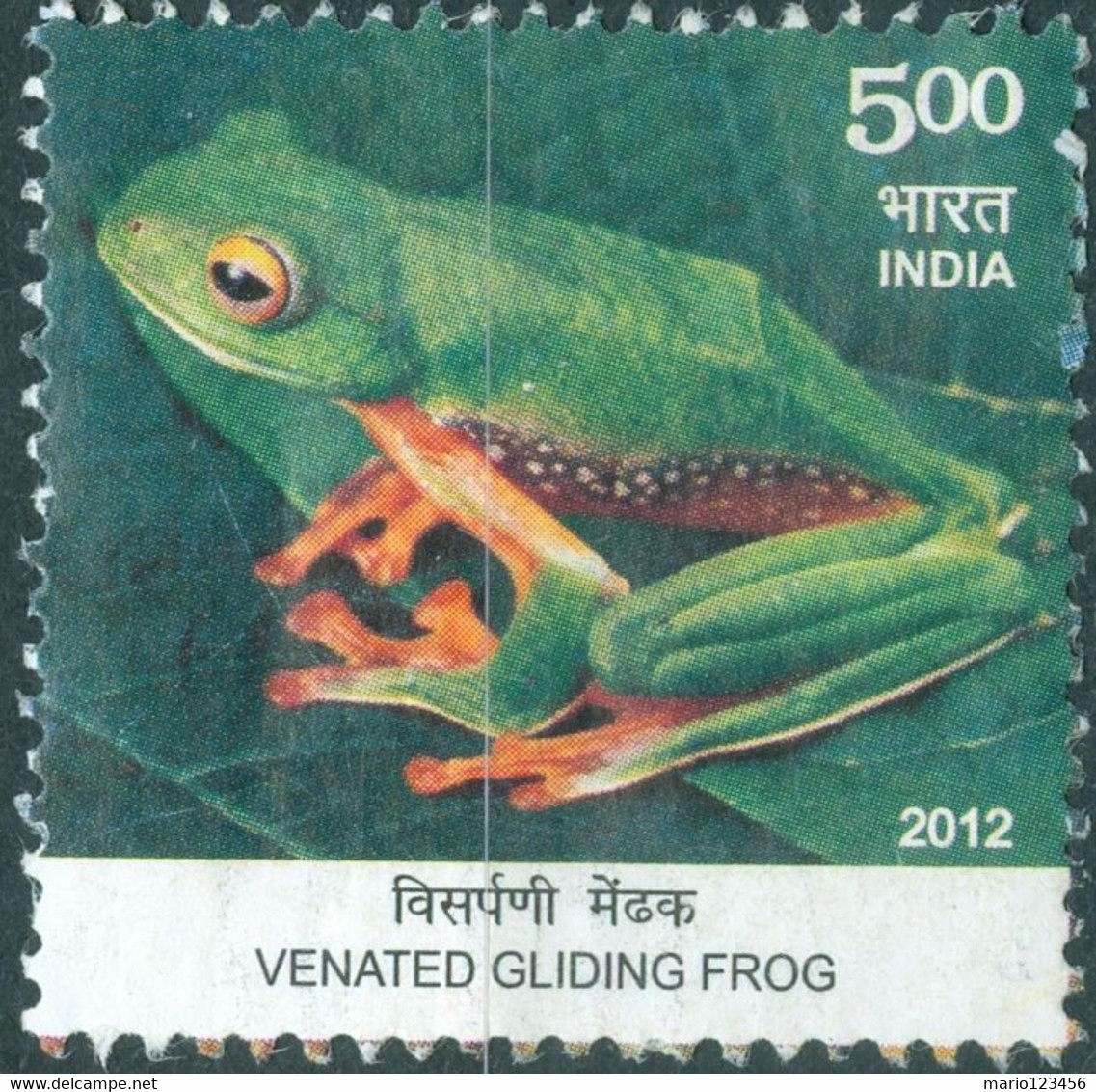 INDIA, FAUNA, ANFIBI, 2012, 5 R., FRANCOBOLLO USATO Mi:IN 2672, Sg:IN 2894 - Gebruikt