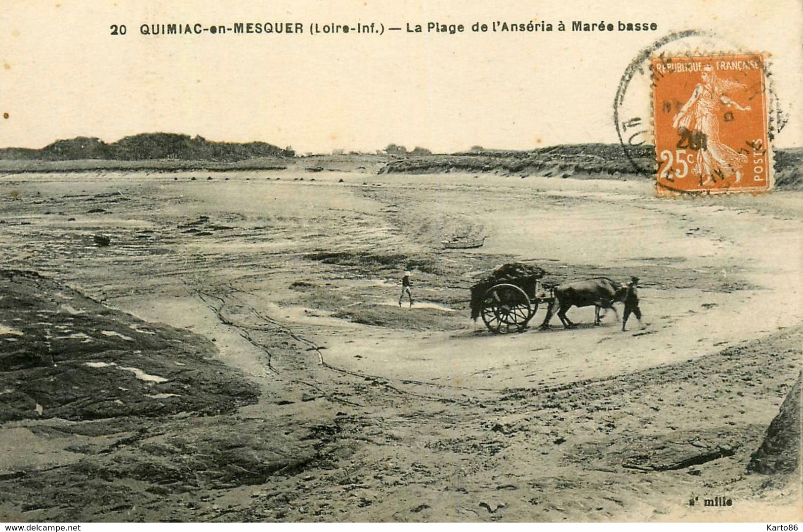 Quimiac En Mesquer * Ramassage Du Goemon , Goemonier * La Plage De L'anséria à Marée Basse * Pêche * Attelage Boeufs - Mesquer Quimiac