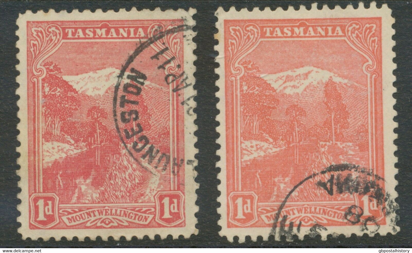 TASMANIA 1899 Mount Wellington 1 D Carmine 2 Superb Used Stamps Different Shades - Oblitérés