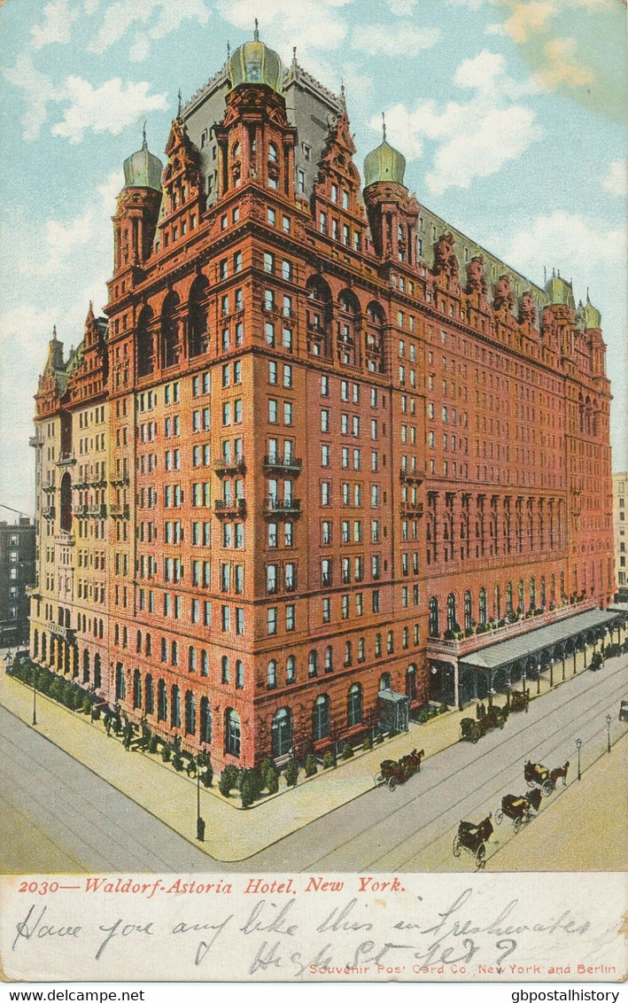 USA Ca. 1900 Very Fine Mint Coloured Pc „Waldorf-Astoria Hotel, NEW YORK“ - Bares, Hoteles Y Restaurantes