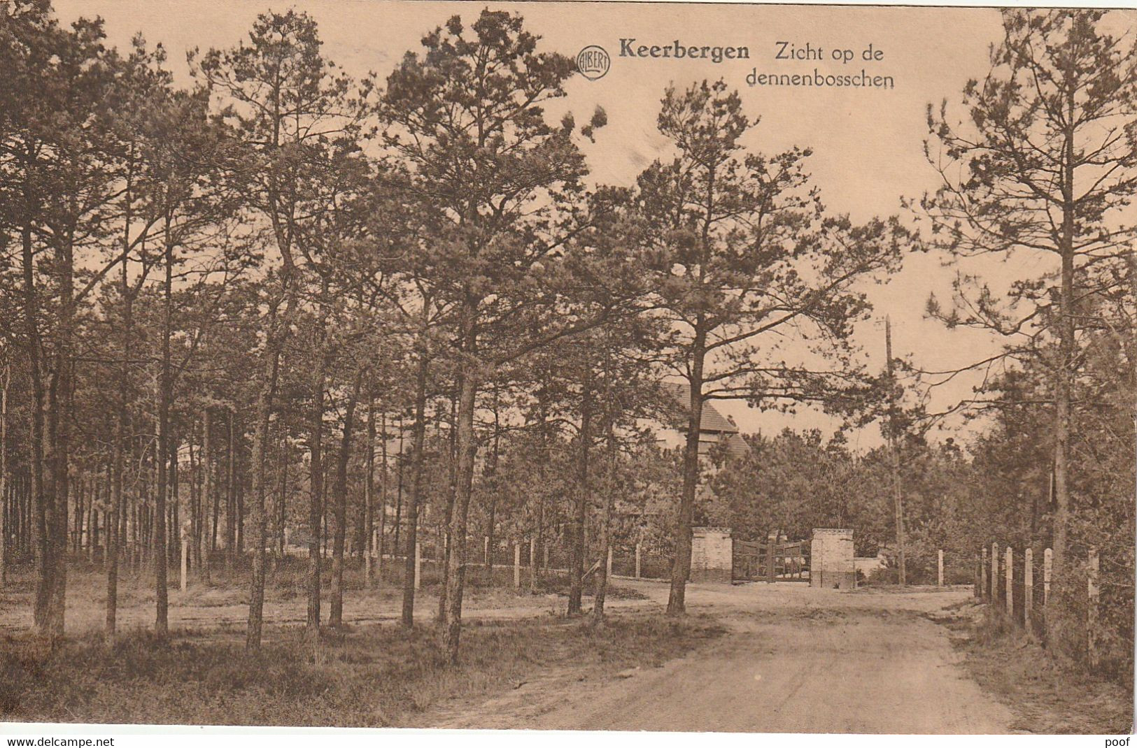 Keerbergen : Zicht Op De Dennenbosschen 1937 - Keerbergen