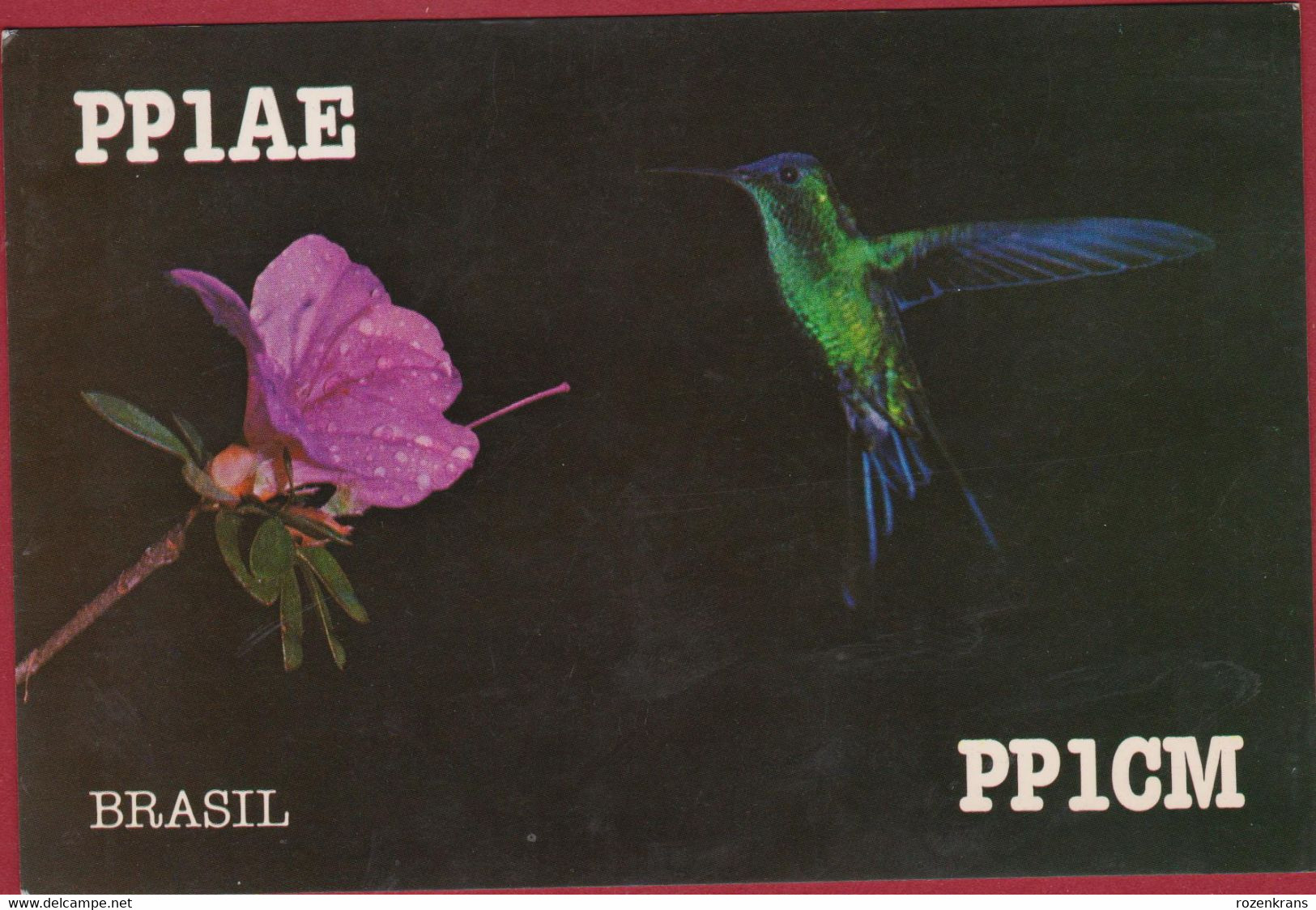 QSL Card Amateur Radio Station Funkkarte Kolibri Colibri Hummingbird Beija Flor Brasil Brazil Brasil 1983 - Radio Amatoriale