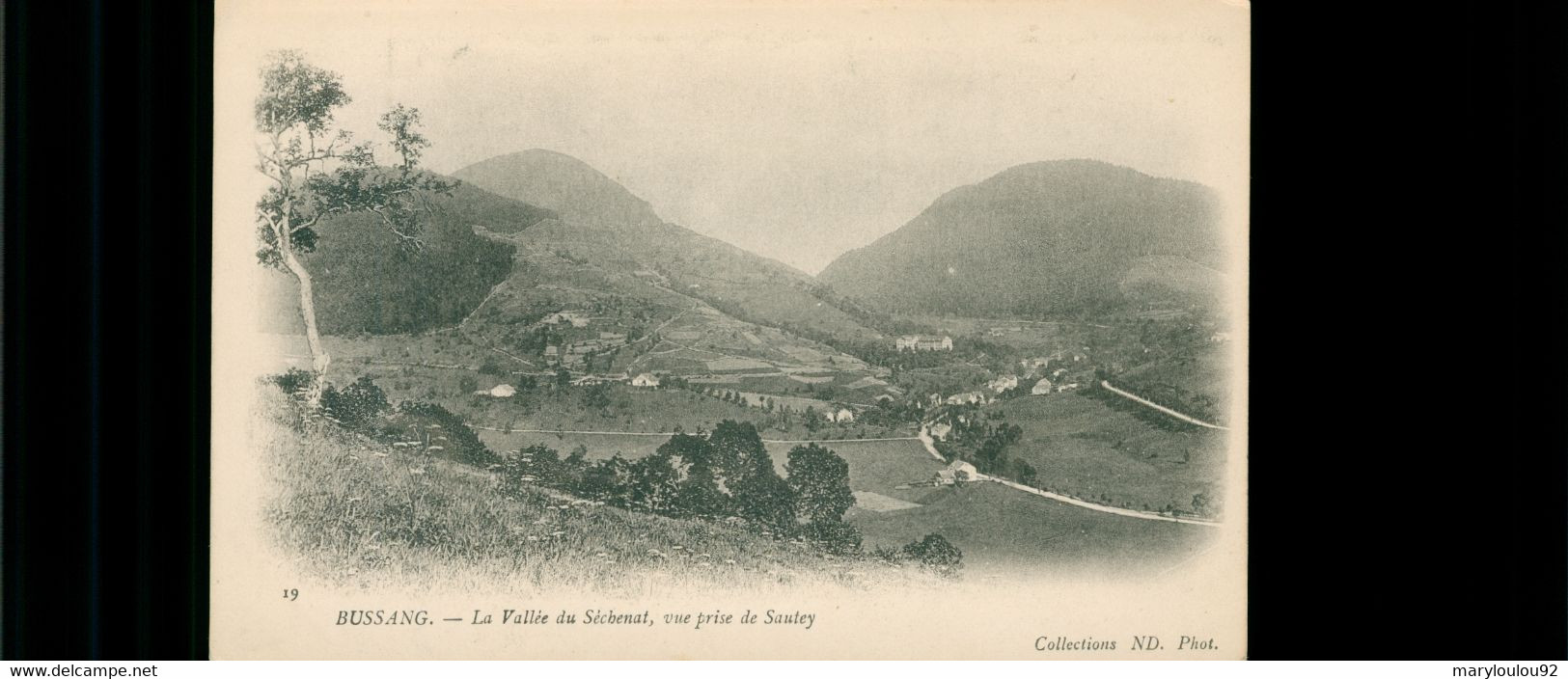 CPA BUSSANG - La Vallée Du Sénéchat, Vue Prise De Sauley - Non Circulée - Dos Non Divisé - Bussang