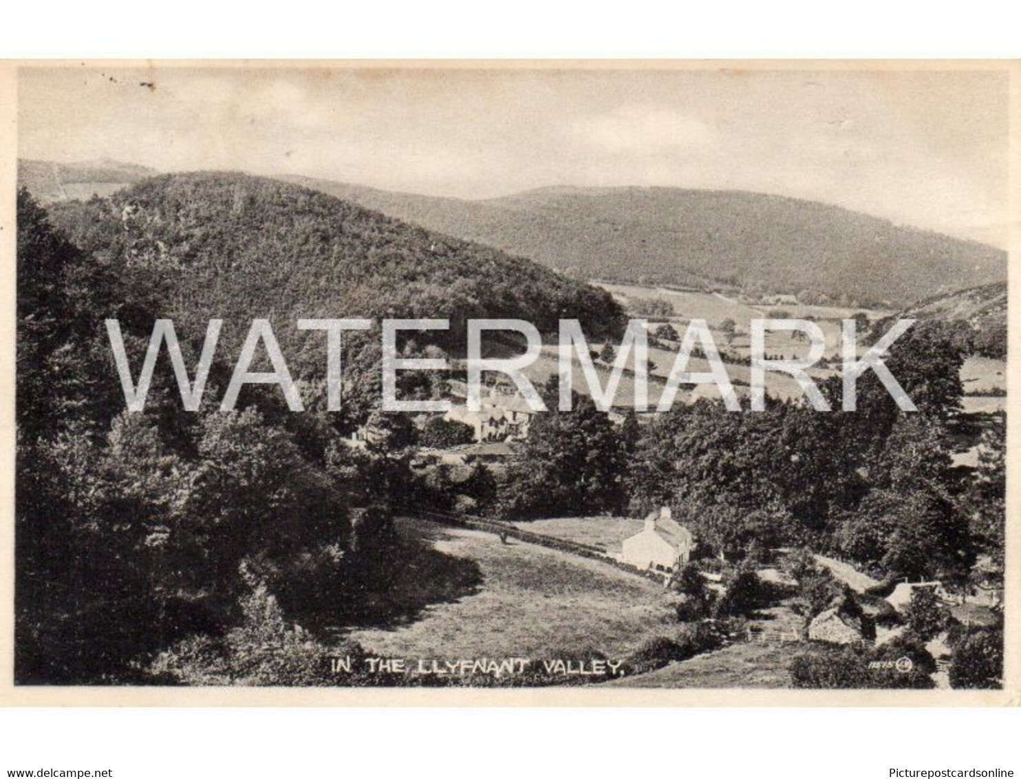 IN THE LLYFNANT VALLEY OLD B/W POSTCARD WALES - Cardiganshire