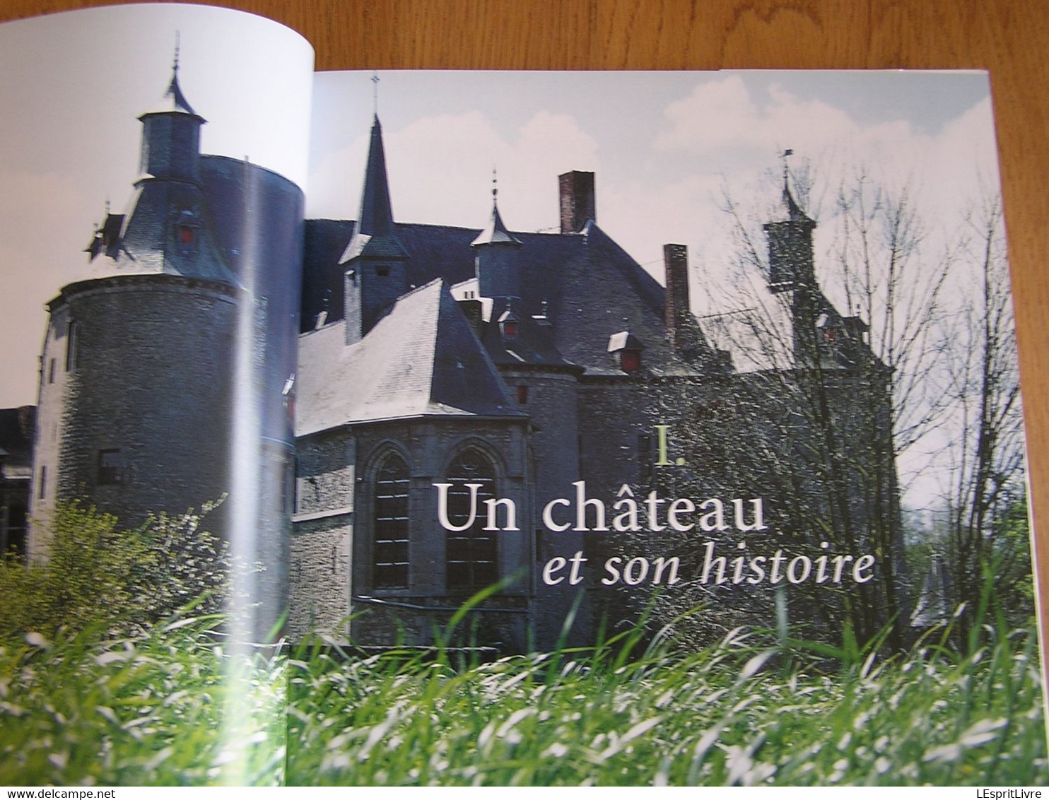 LE CHATEAU D' ECAUSSINNES LALAING Régionalisme Hainaut Histoire Seigneurs Arenberg Van Der Burch Verre Céramique - Belgique