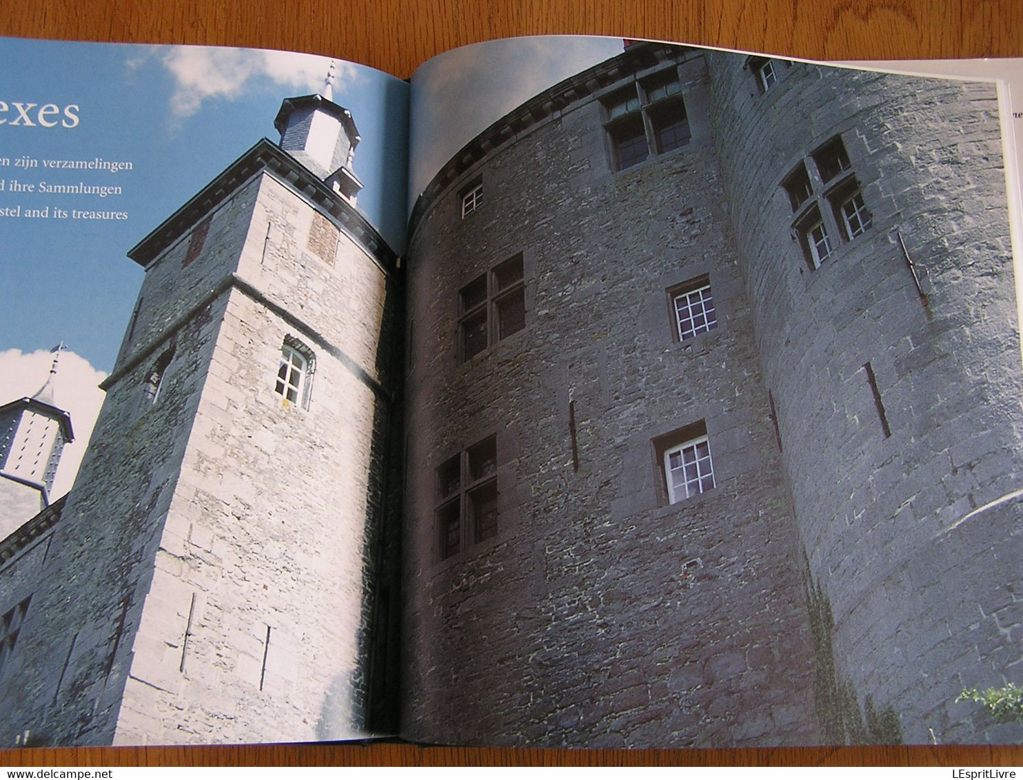 LE CHATEAU D' ECAUSSINNES LALAING Régionalisme Hainaut Histoire Seigneurs Arenberg Van Der Burch Verre Céramique