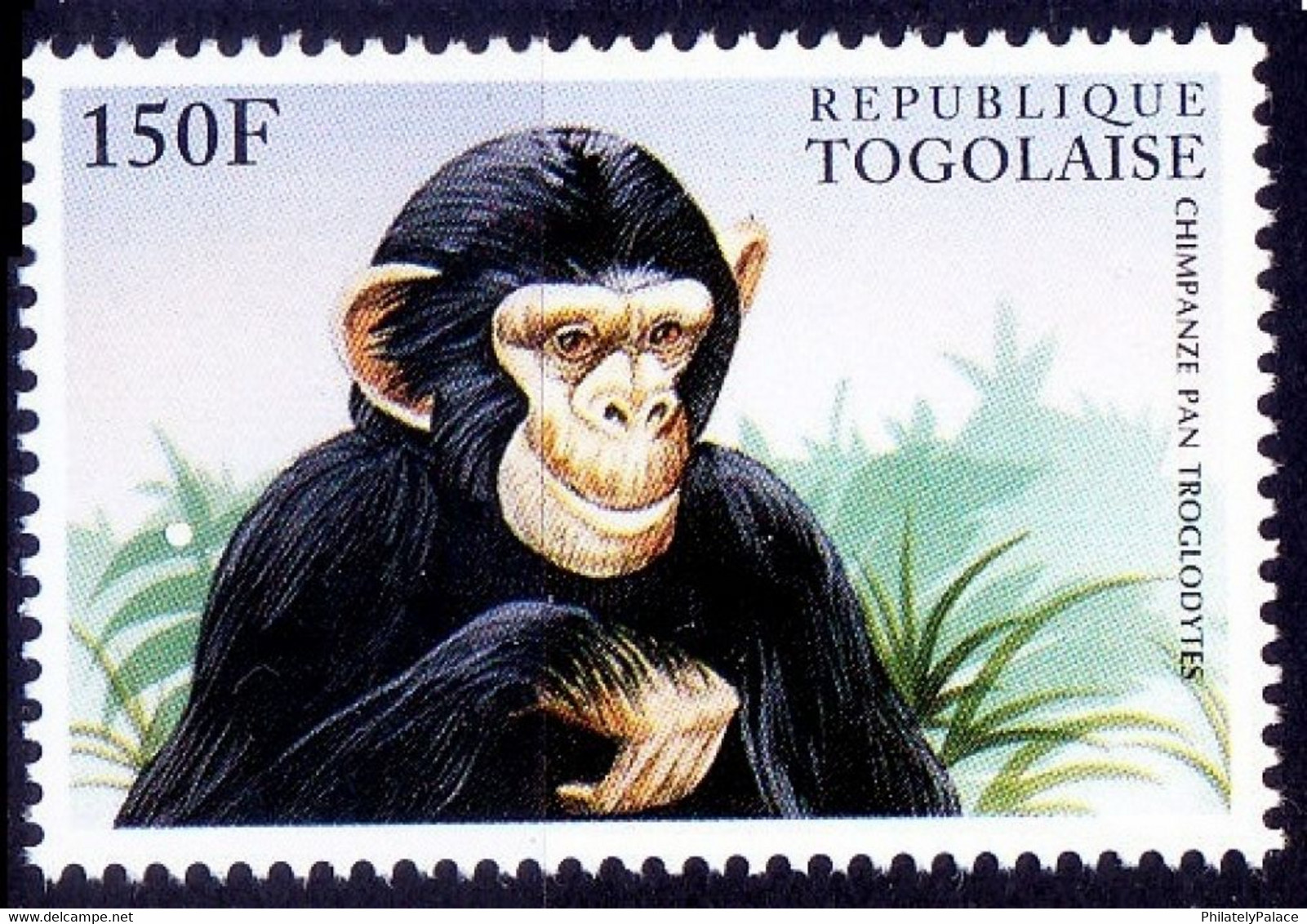 Common Chimpanzee, Chimpanzee Pan Troglodytes, Monkey, Togo 1996 MNH, Wild Animals (**) - Chimpanzés