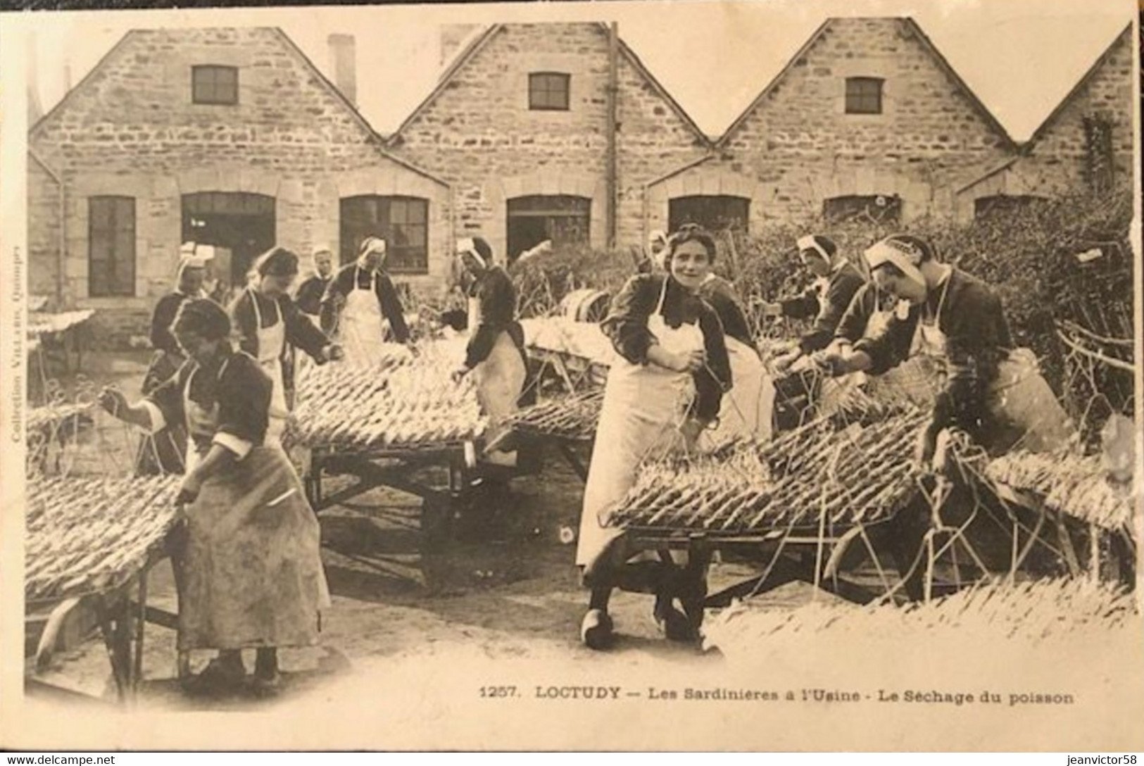 1257 Loctudy Les Sardinières à L'usine Le Séchage Du  Poisson - Loctudy