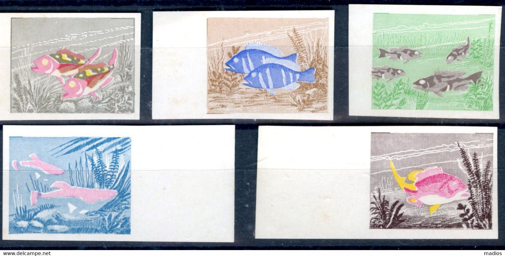 39285 CUBA 1958 Poey. Airmail And Special Deliv, Fishes,(5) Sgl Proof MNH.Est.$175 - Sin Dentar, Pruebas De Impresión Y Variedades