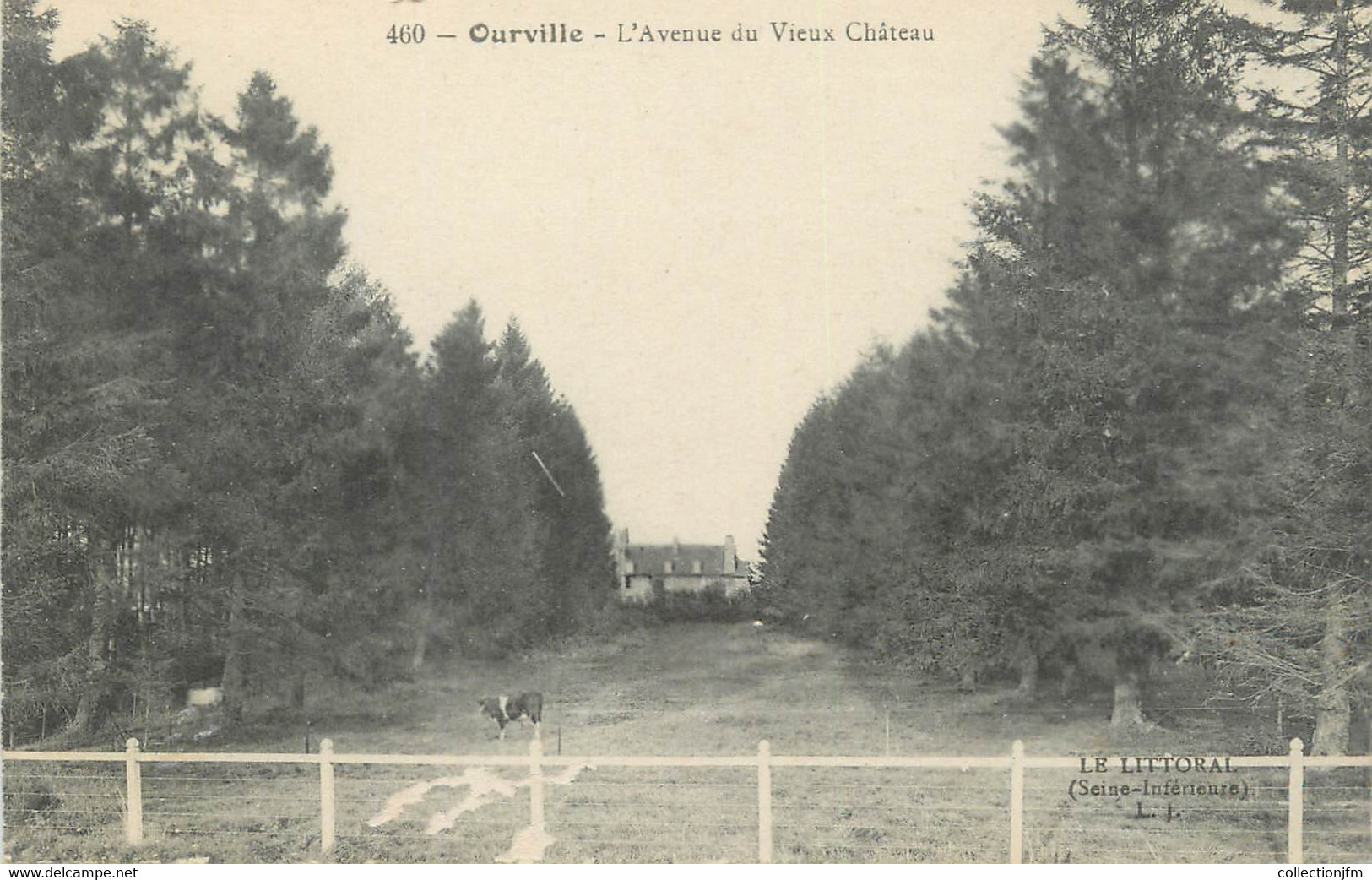 / CPA FRANCE 76 "Ourville, L'avenue Du Vieux Château" - Ourville En Caux