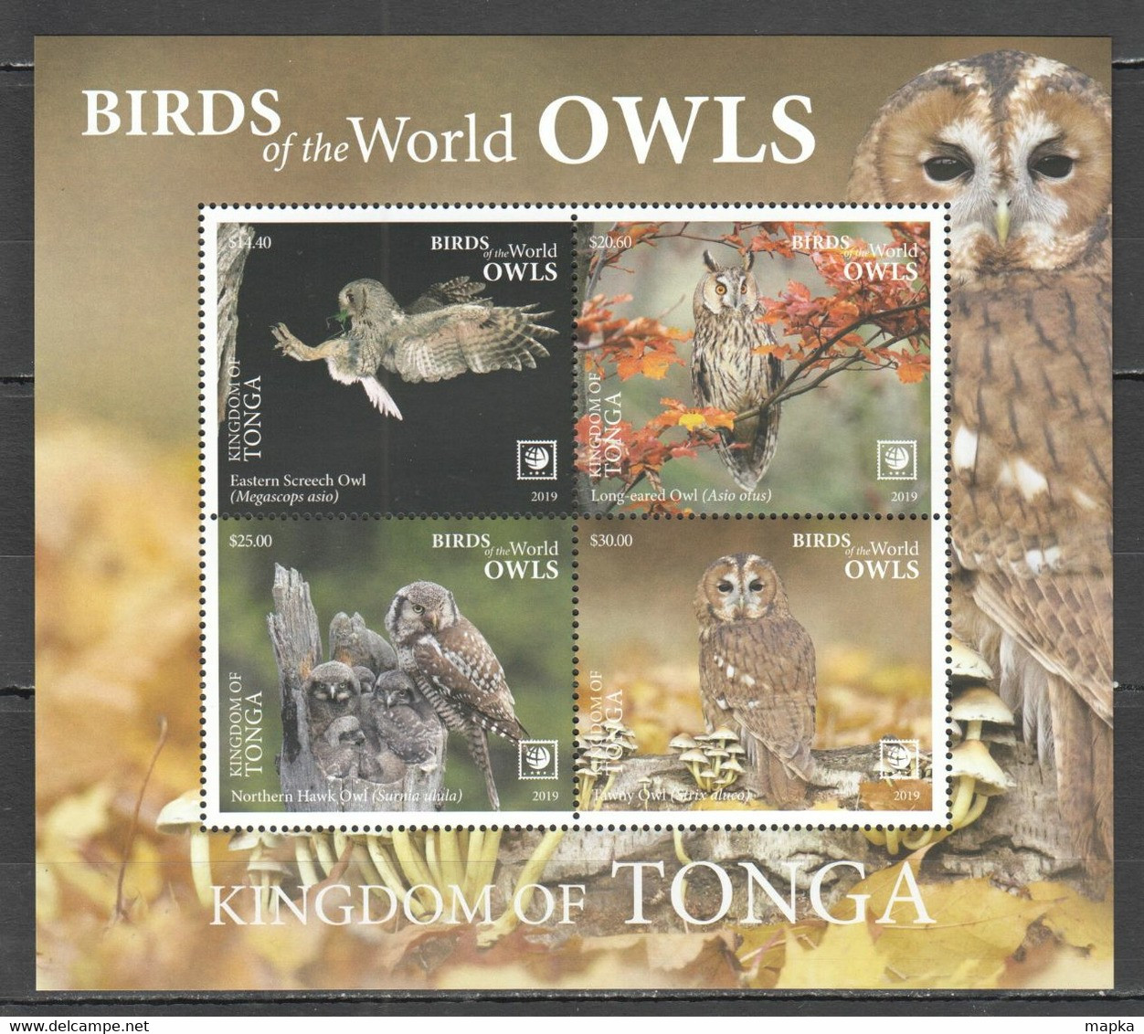 UU831 2019 !!! SALE TONGA FAUNA BIRDS OWLS MICHEL 78 EURO BL132 MNH - Owls