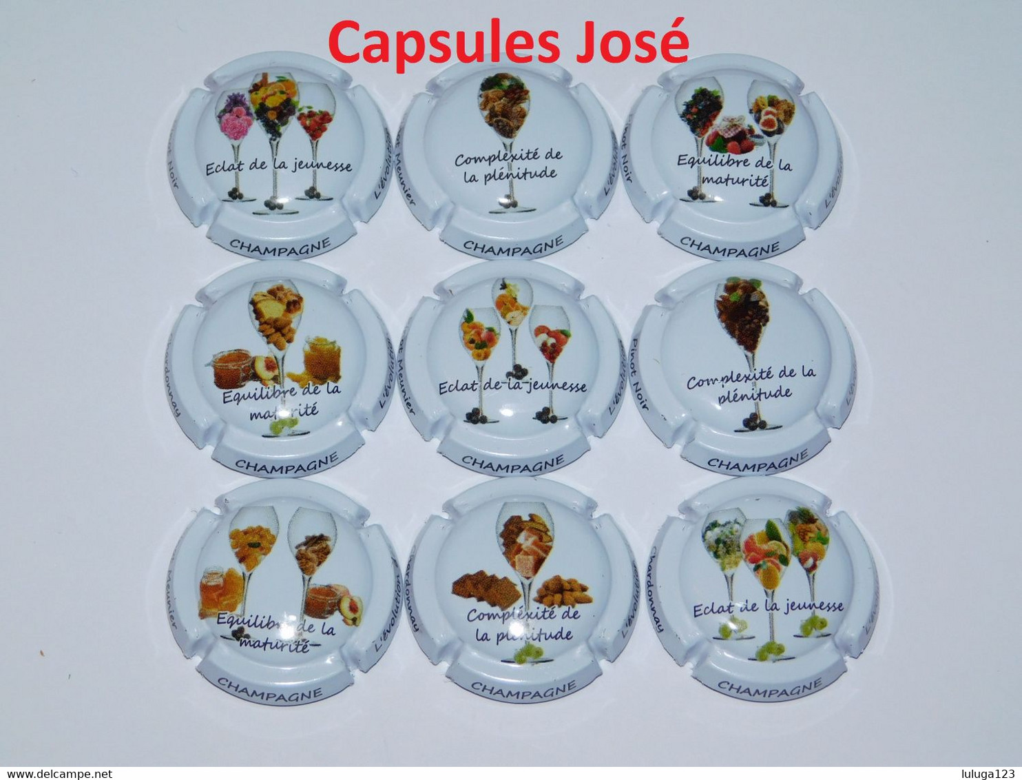 Série De 9 Capsules De Champagne - GENERIQUE  (L'évolution Des Arômes) - Collections