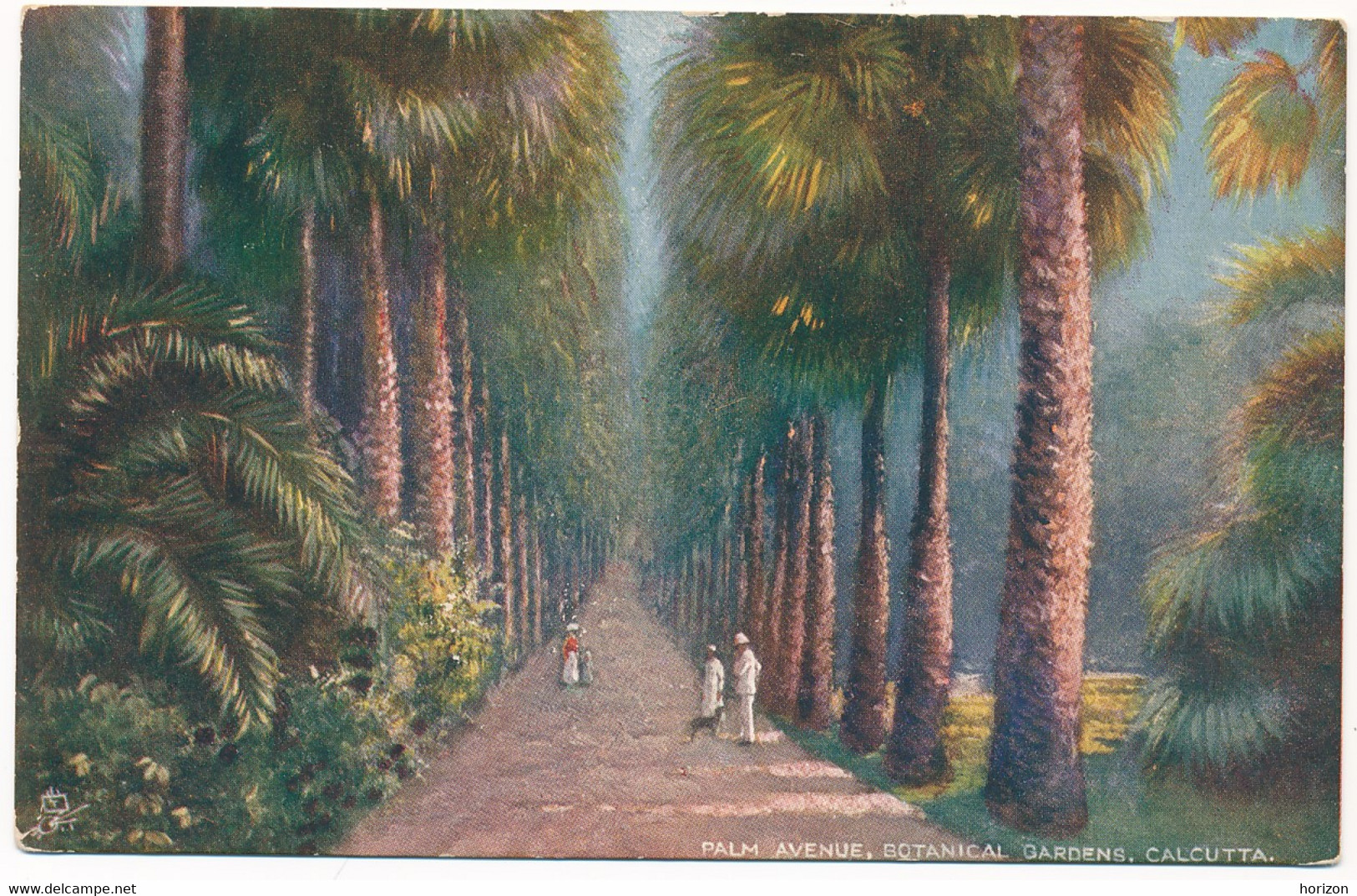 XIND.80.  CALCUTTA - Palm Avenue, Botanical Gardens - Inde