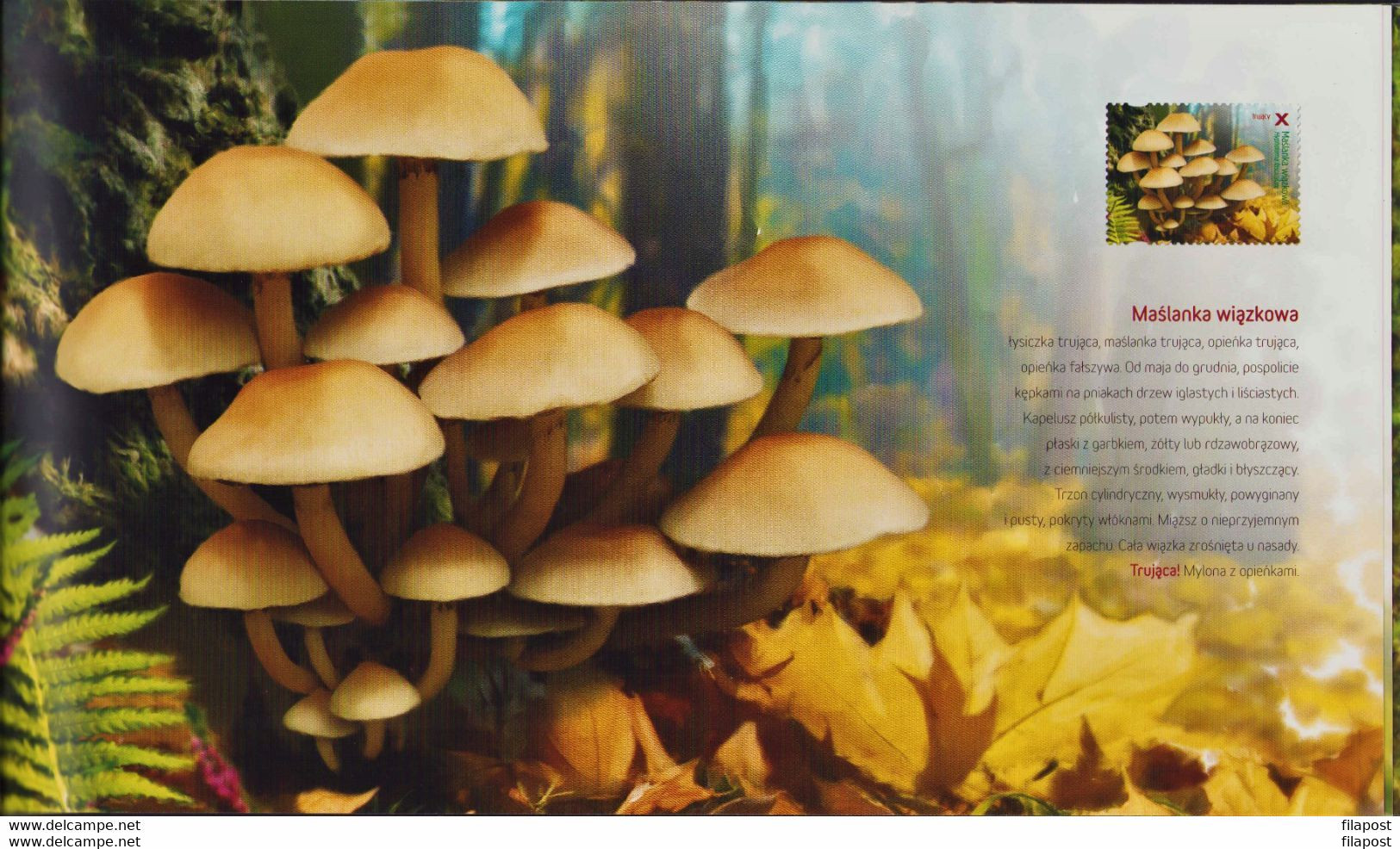 POLAND 2012 Booklet / Edible And Poisonous Mushrooms In Polish Forests / Full Sheet MNH** + 2 X FDC FV - Cuadernillos