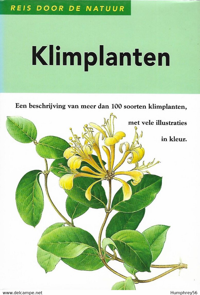 Jan TYKAC - Klimplanten - Pratique