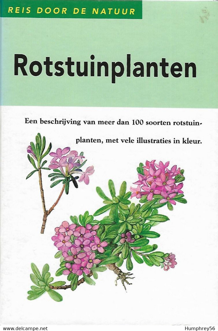 Vlasta VODICKOVA - Rotstuinplanten - Sachbücher