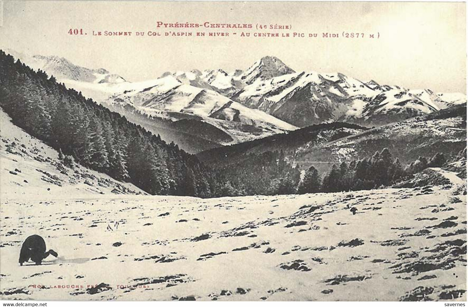 65_Hautes_Pyrénées_Lannemezan_Les_Pyrénées_Centrales_Le_Sommet_du_Col_d'Aspin_en_hiver_Au_centre_le_Pic_du_Midi - Lannemezan