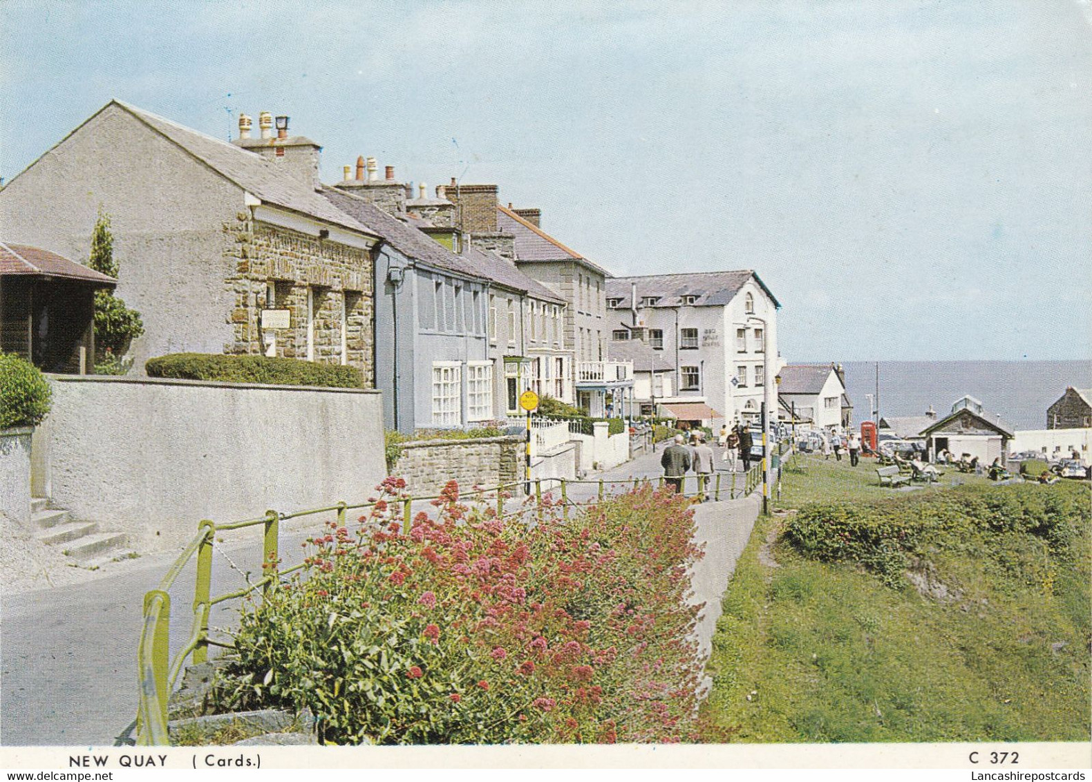 Postcard New Quay Cardiganshire  My Ref B24692 - Cardiganshire